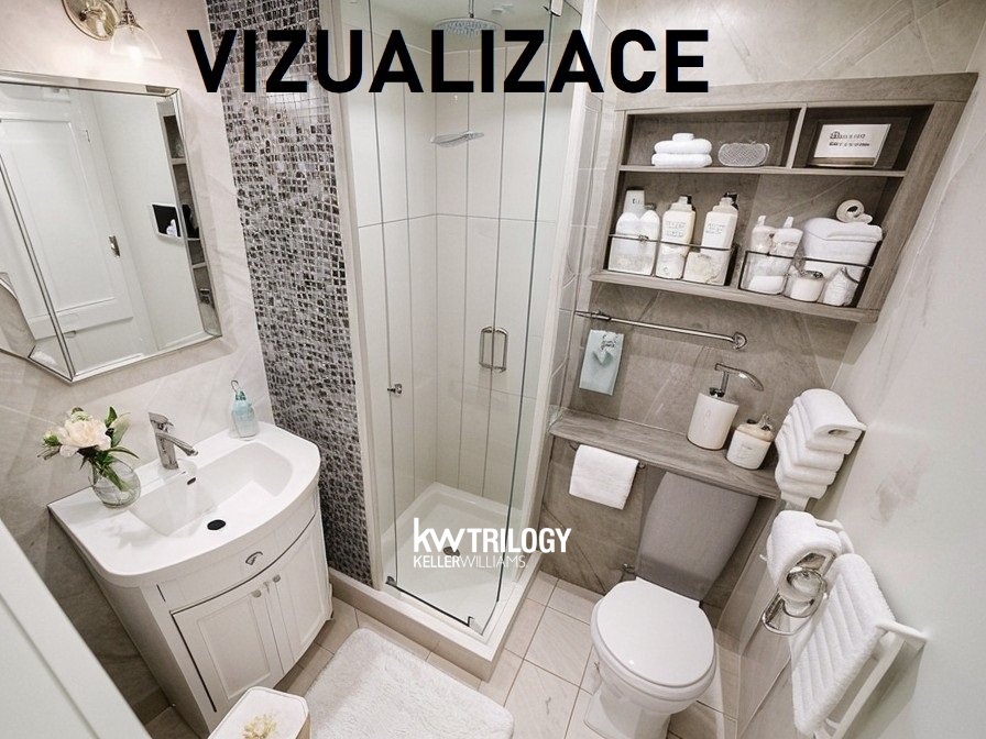 BRIZ_Vizualizace (1)