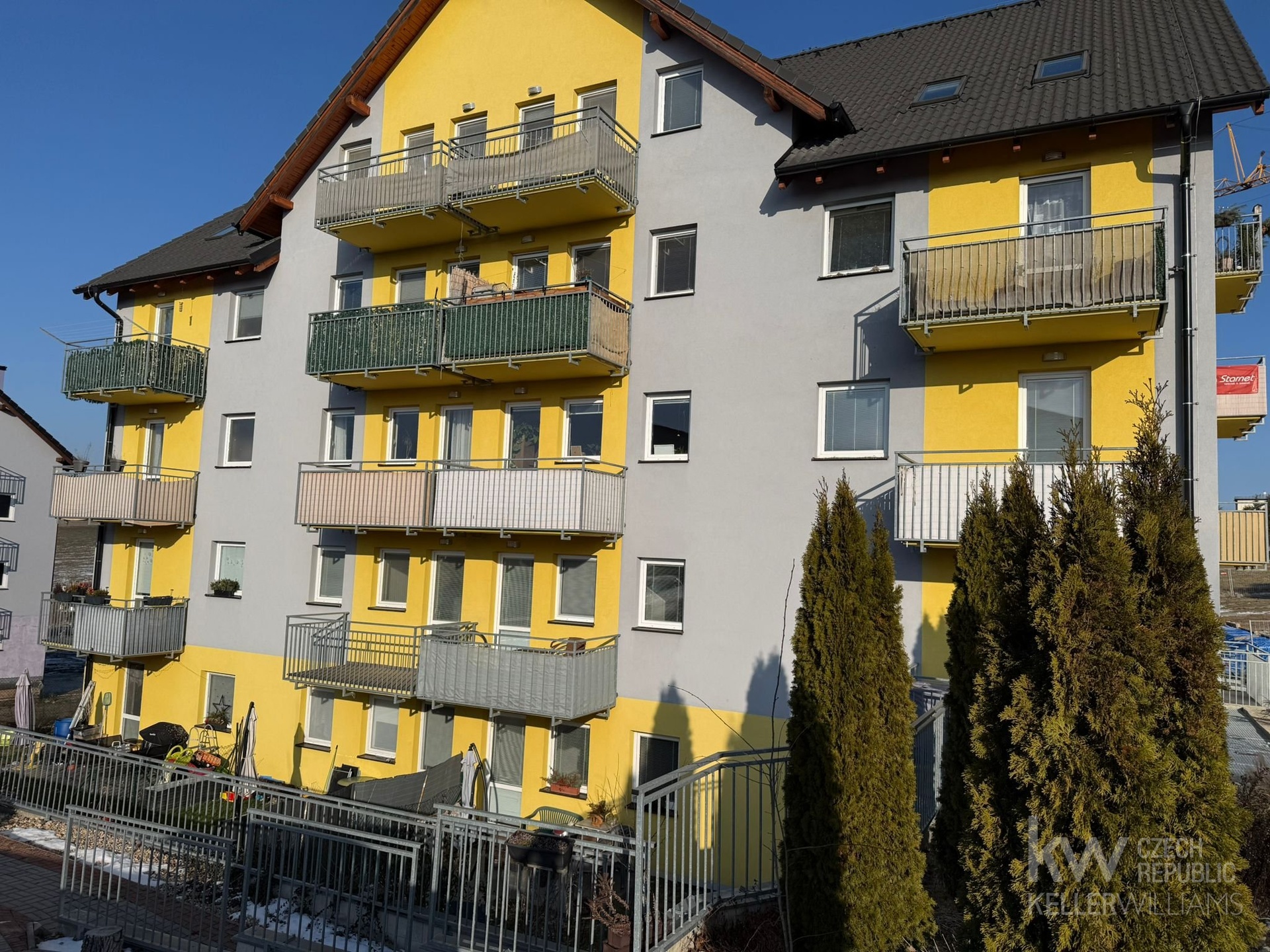 WhatsApp Image 2026-02-16 at 16.53.32