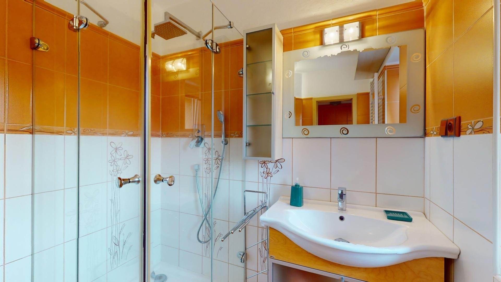 12. Pronajem-41-Tabor-Cekanice-07262024_100255