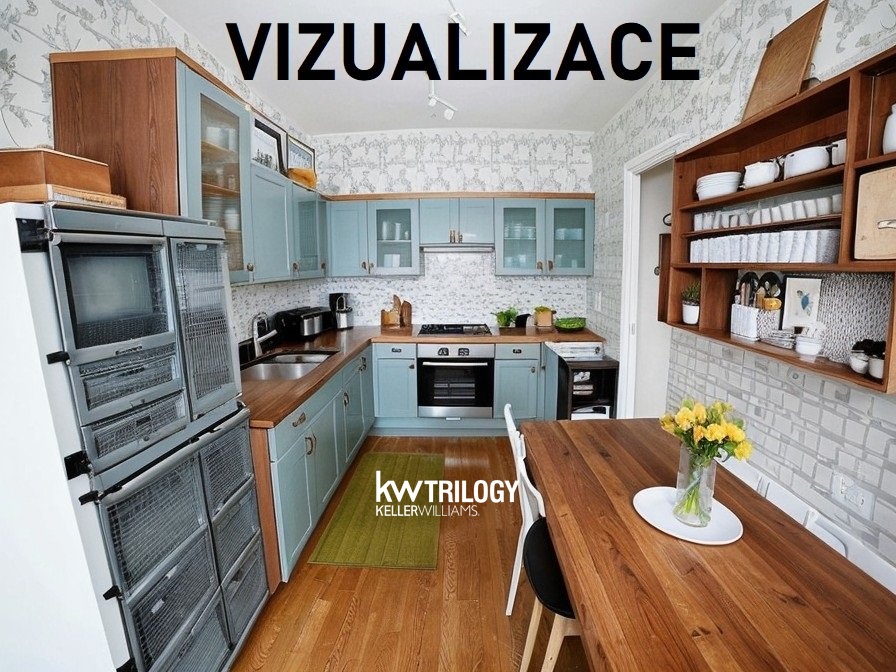 BRIZ_Vizualizace (6)