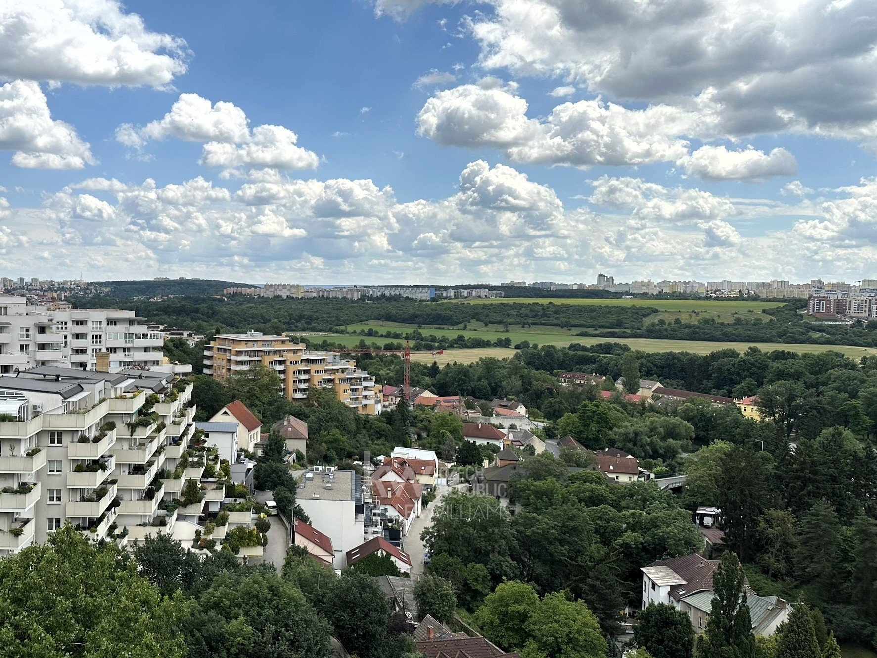 vyhled