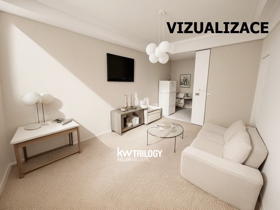 BRIZ_Vizualizace (6)