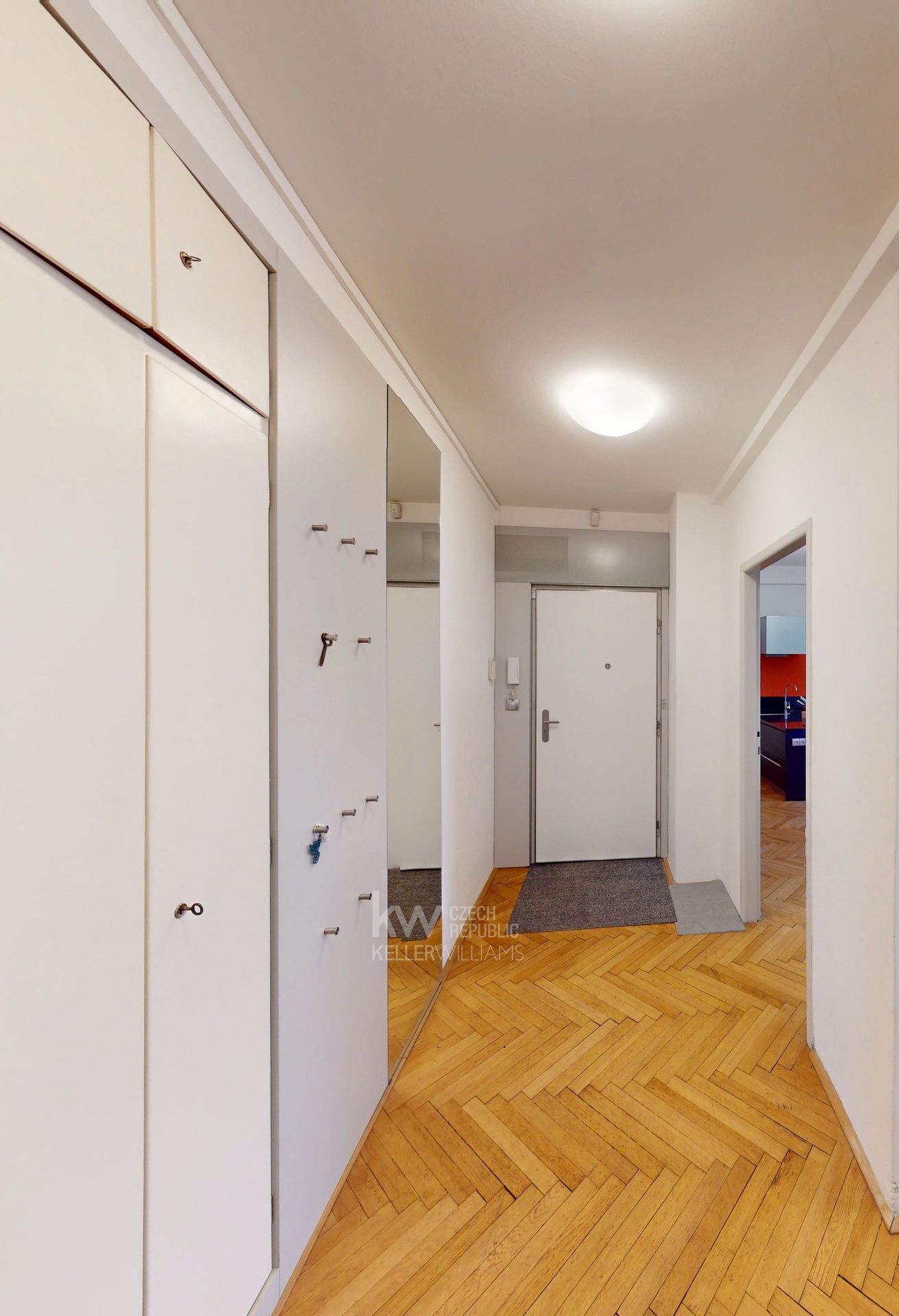 Vstupní chodba/ Entrance Hall