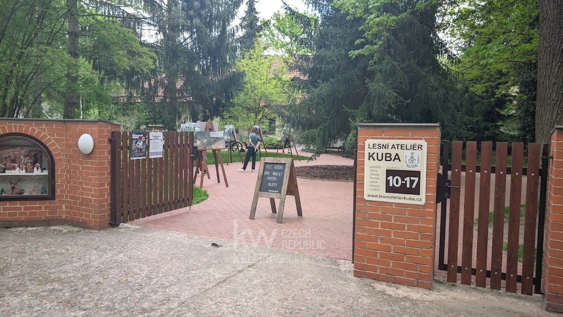 PXL_20250502_123629952