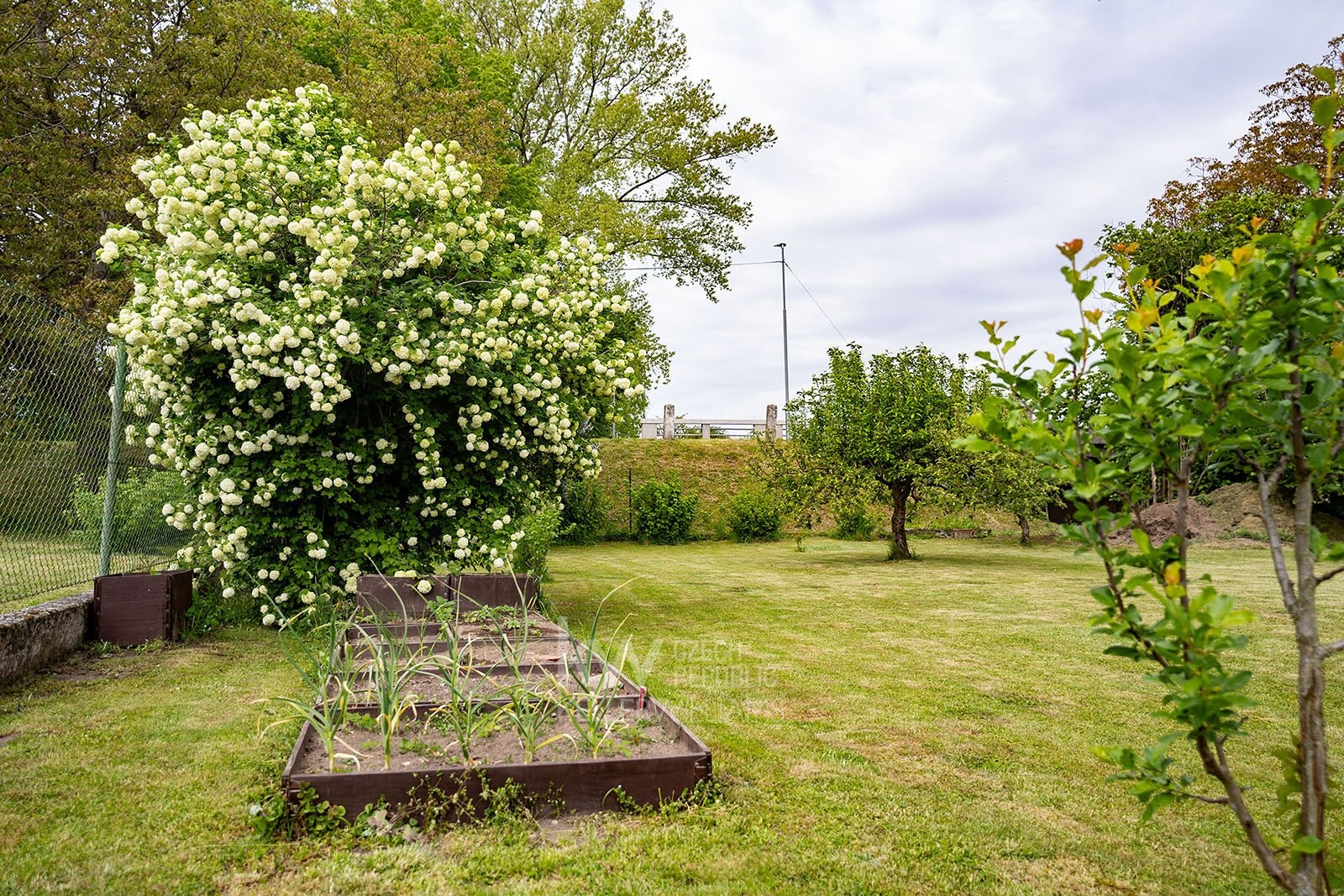 zahrada4