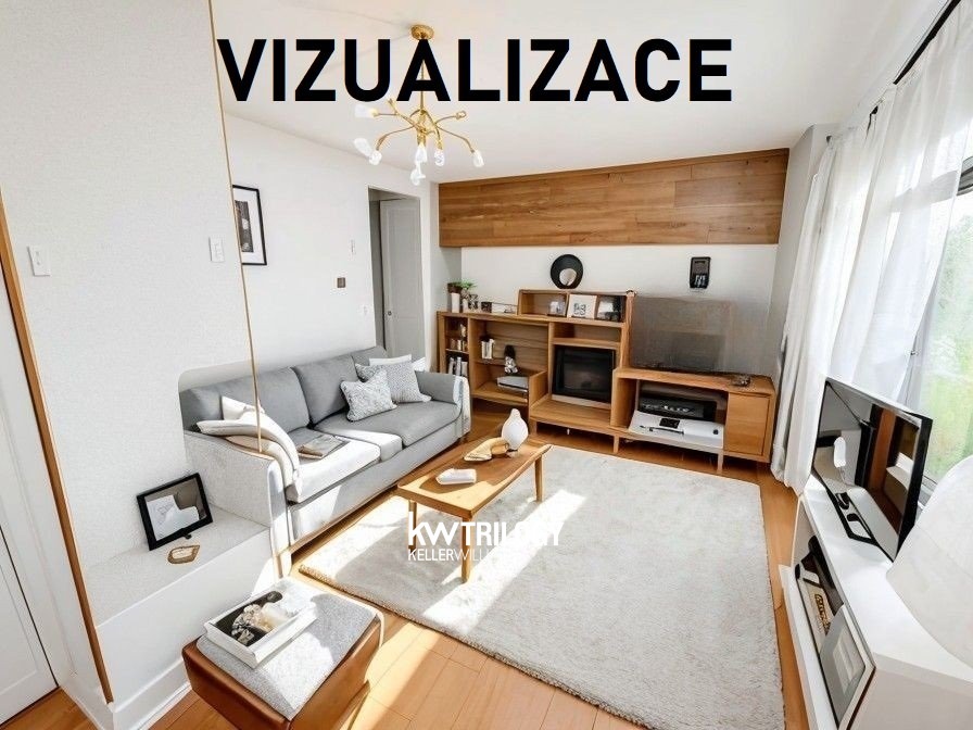 BRIZ_Vizualizace