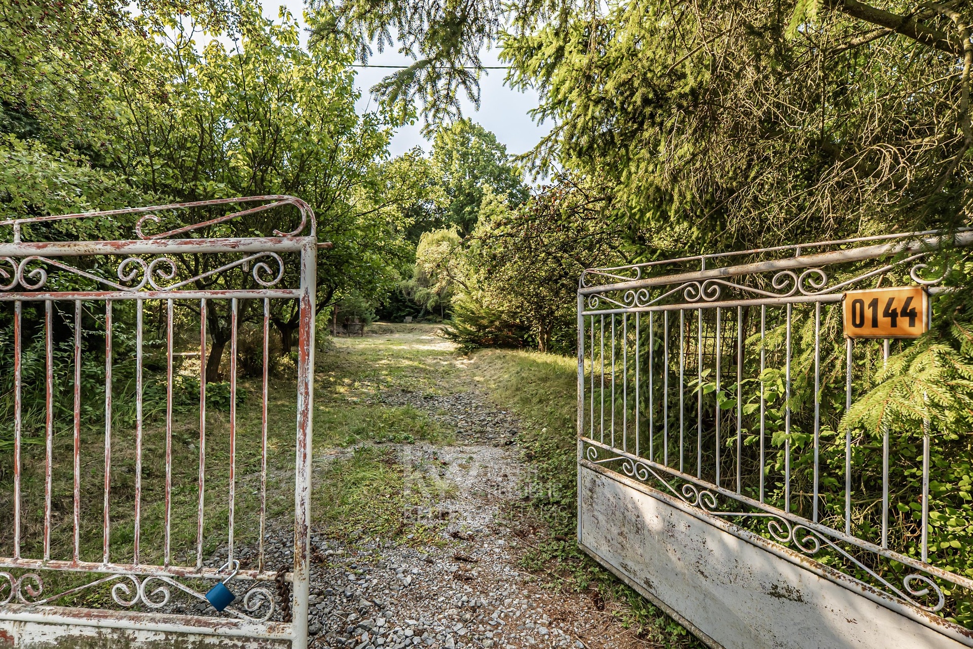P1547262