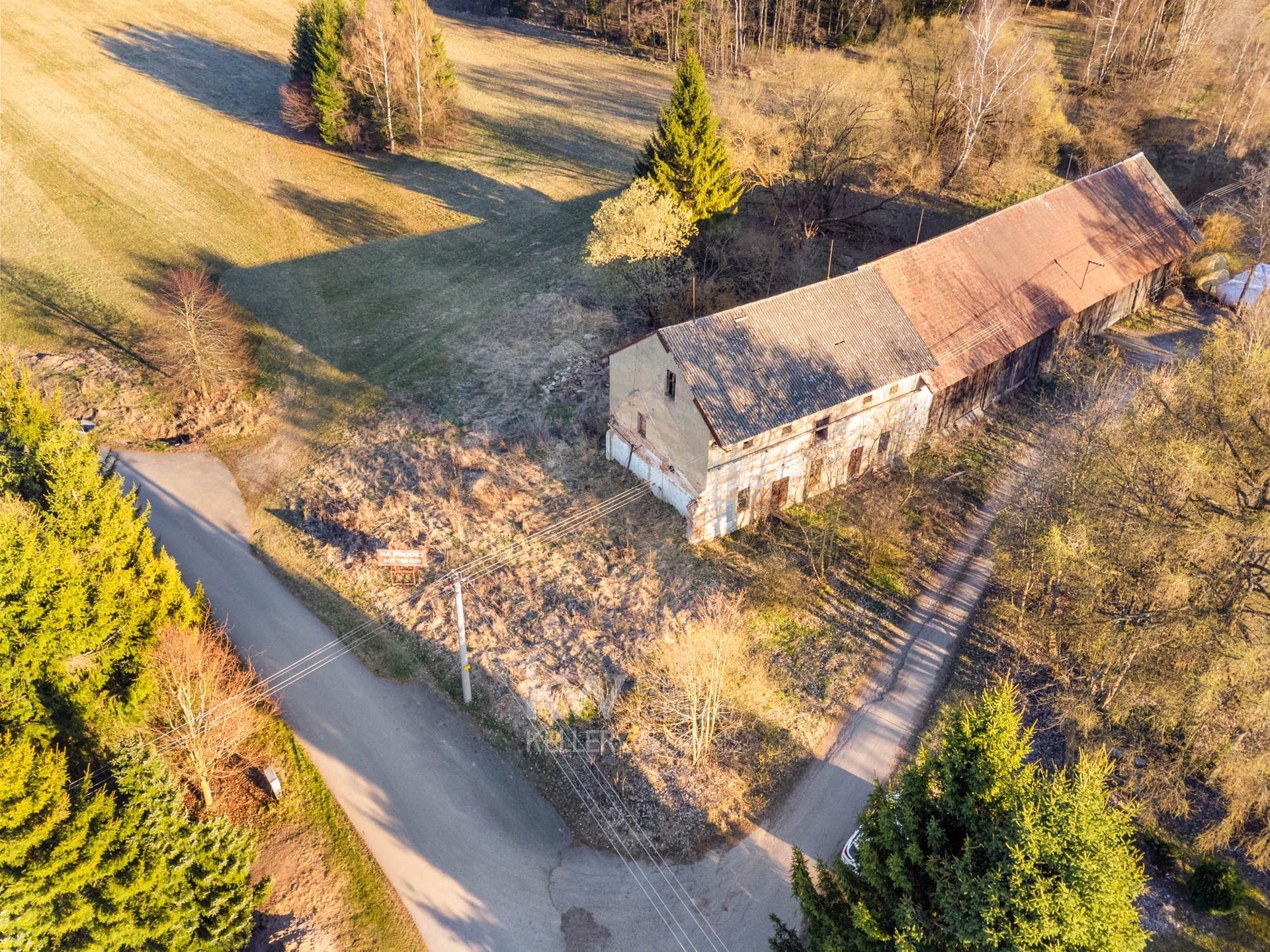 omegavisuals-final-1