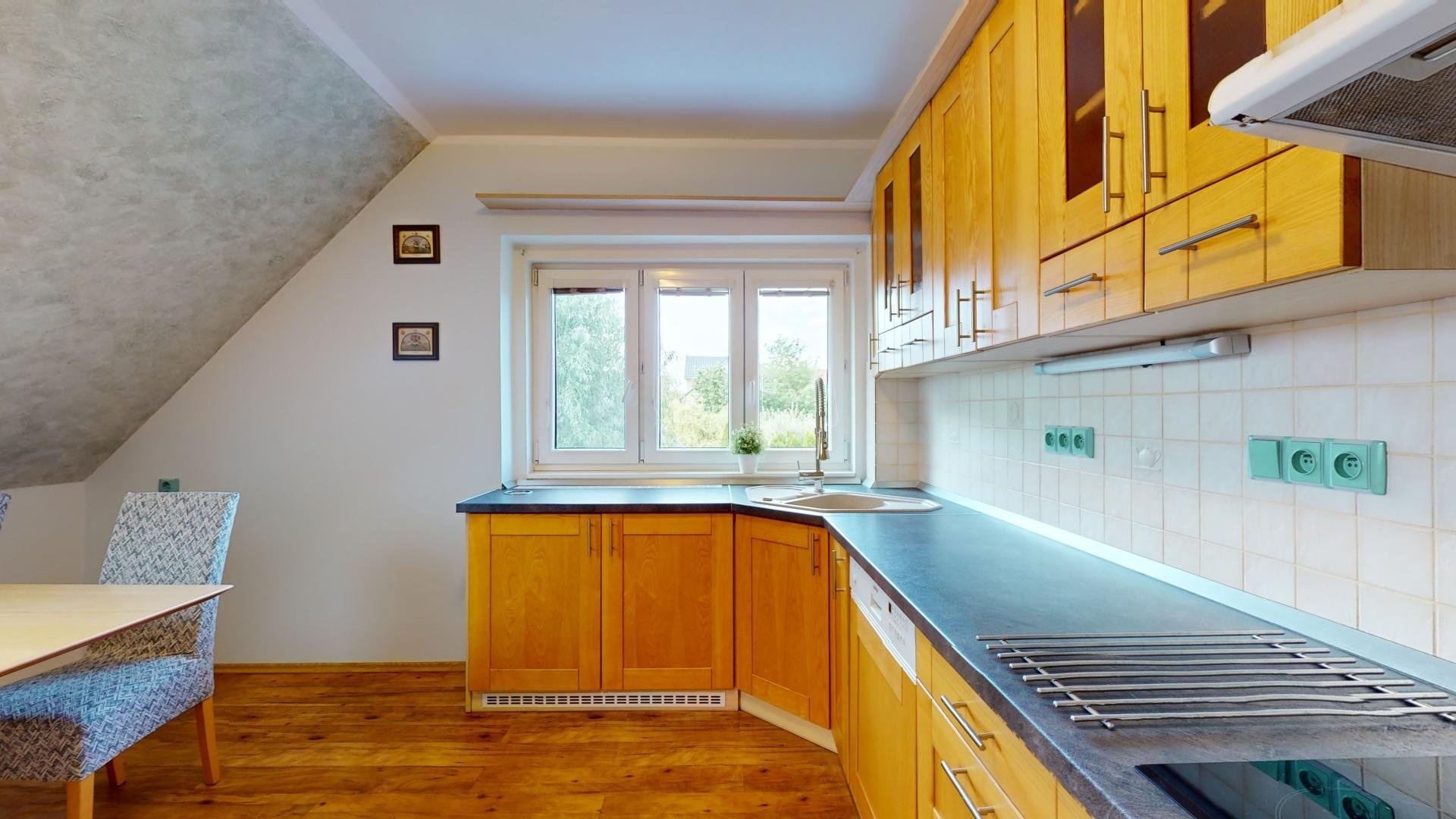 Pronajem-41-Tabor-Cekanice-07262024_100845