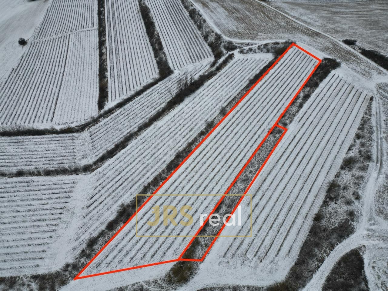 WhatsApp Image 2026-01-12 at 08.58.39 (1)