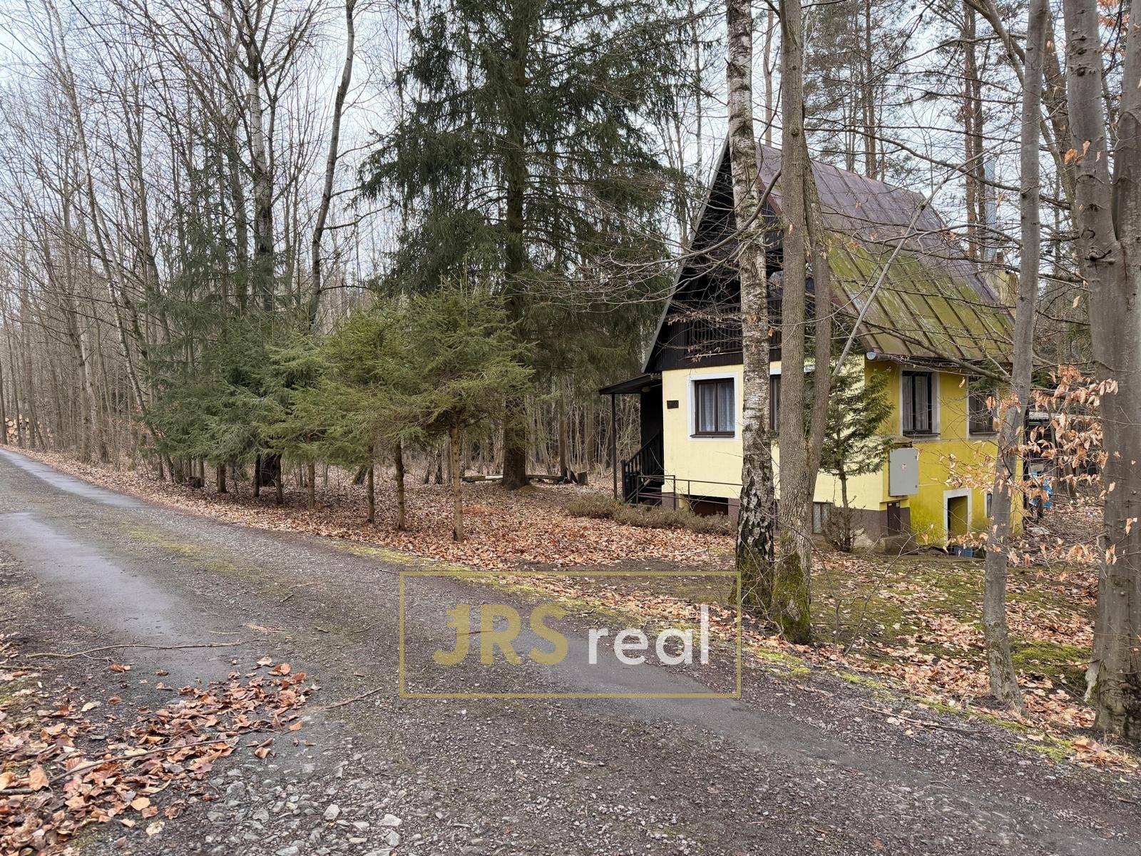 WhatsApp Image 2026-02-19 at 12.28.37