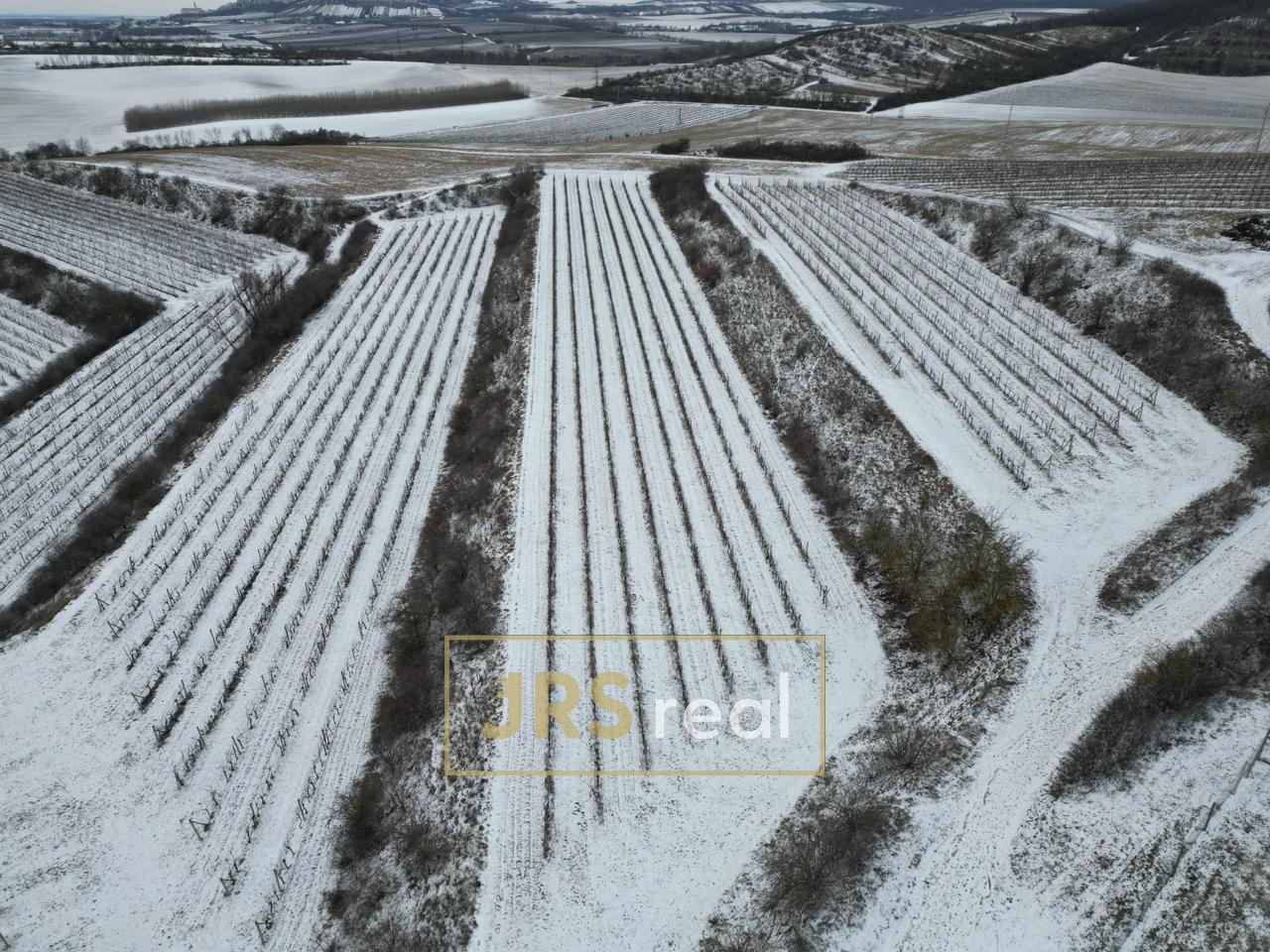 WhatsApp Image 2026-01-12 at 08.58.37 (1)