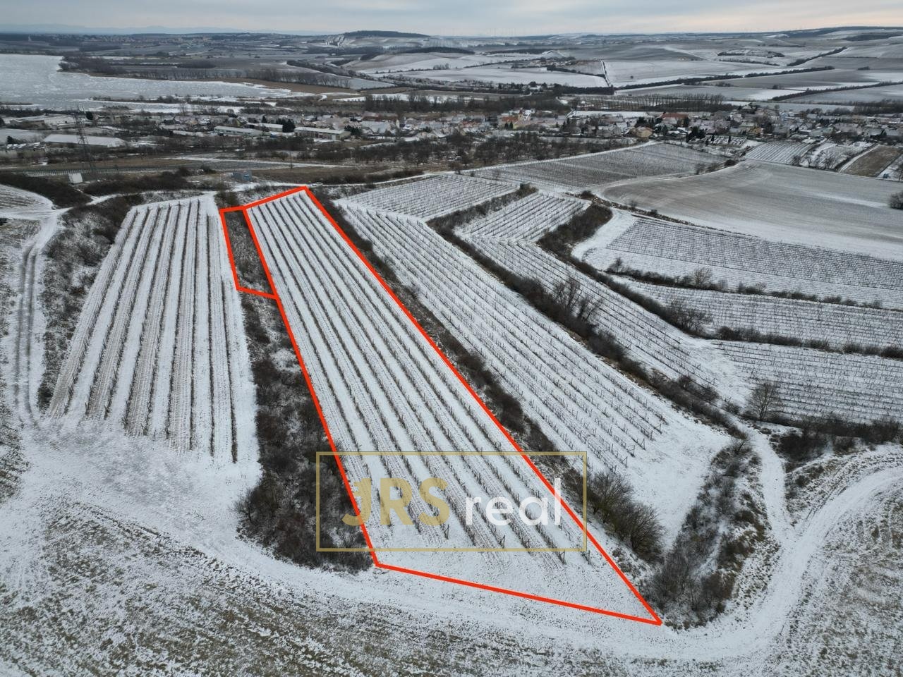 WhatsApp Image 2026-01-12 at 08.58.43