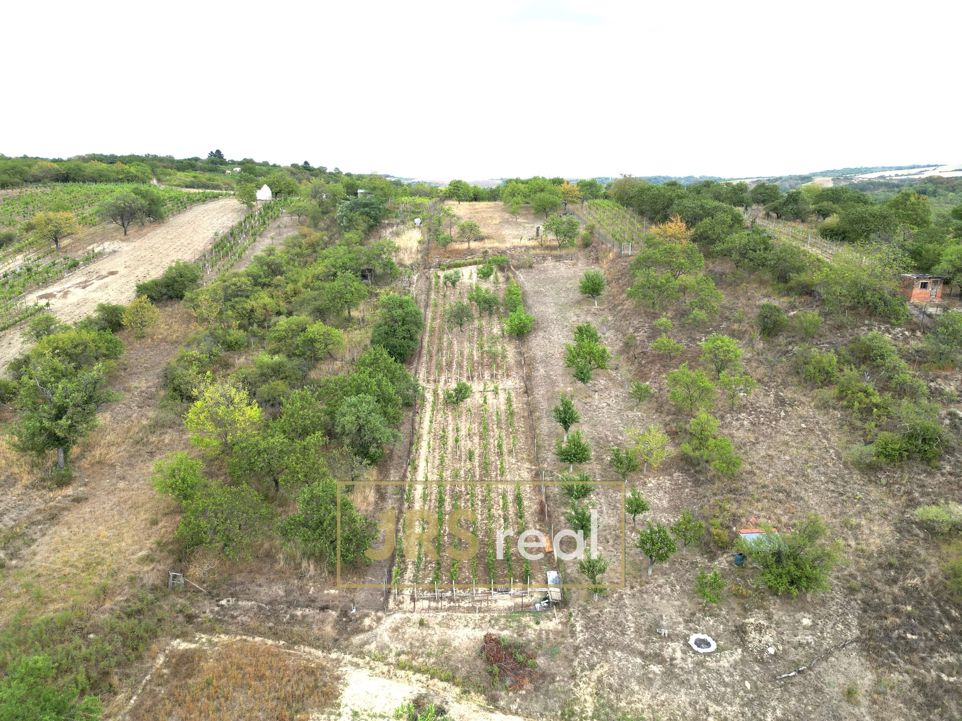 DJI_0428