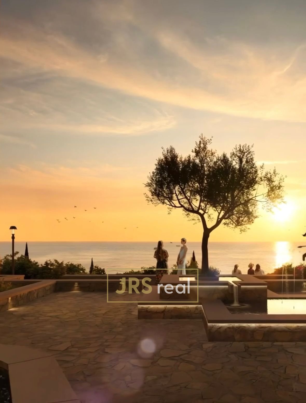 WhatsApp Image 2026-01-23 at 14.10.58