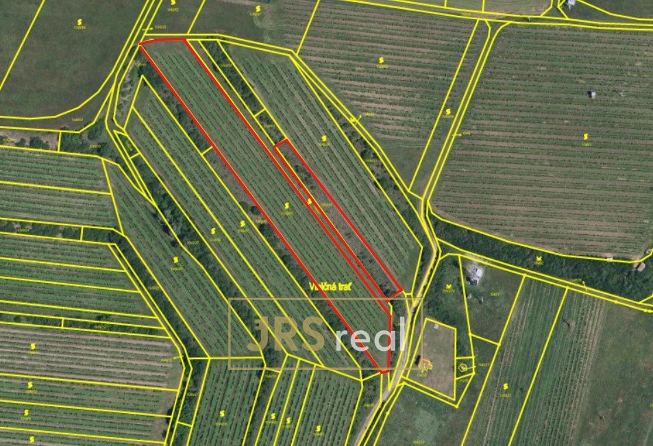 Snímek obrazovky 2026-01-14 124434