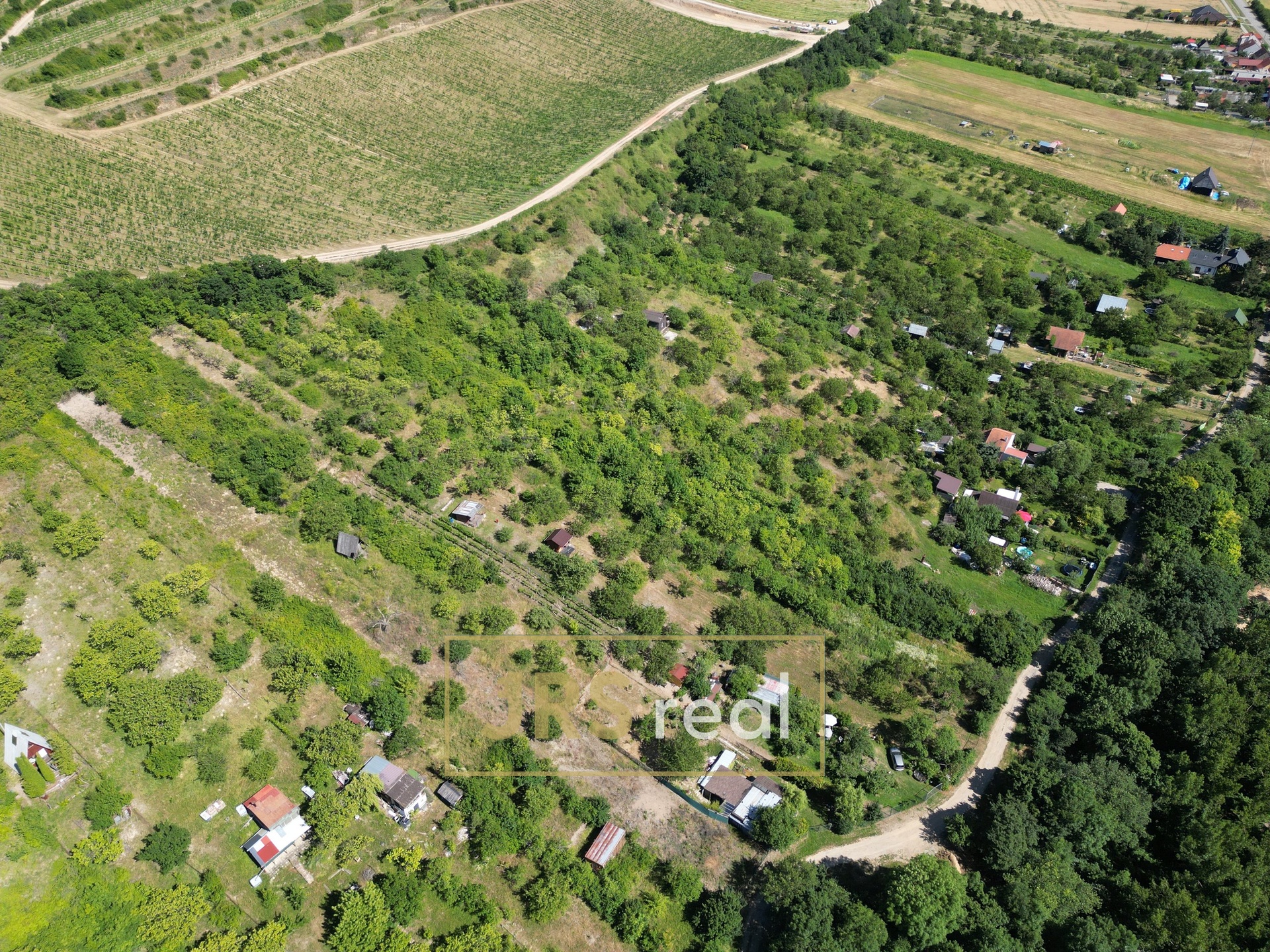 DJI_0684