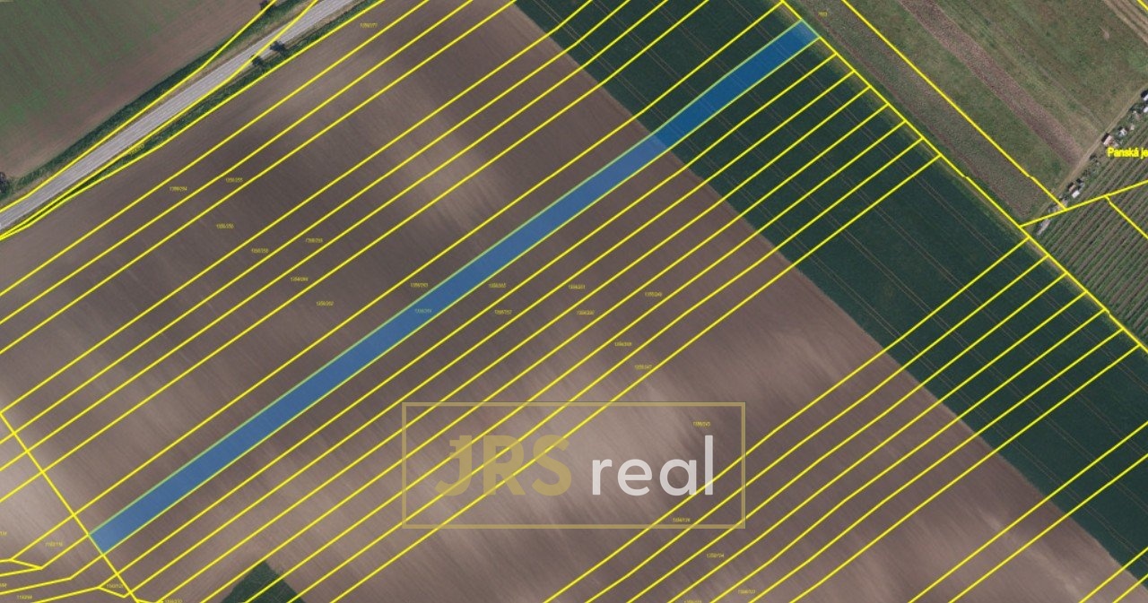 Snímek obrazovky 2026-01-15 101331