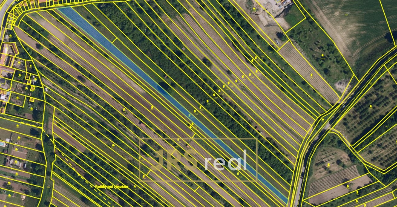 Snímek obrazovky 2026-02-04 083755