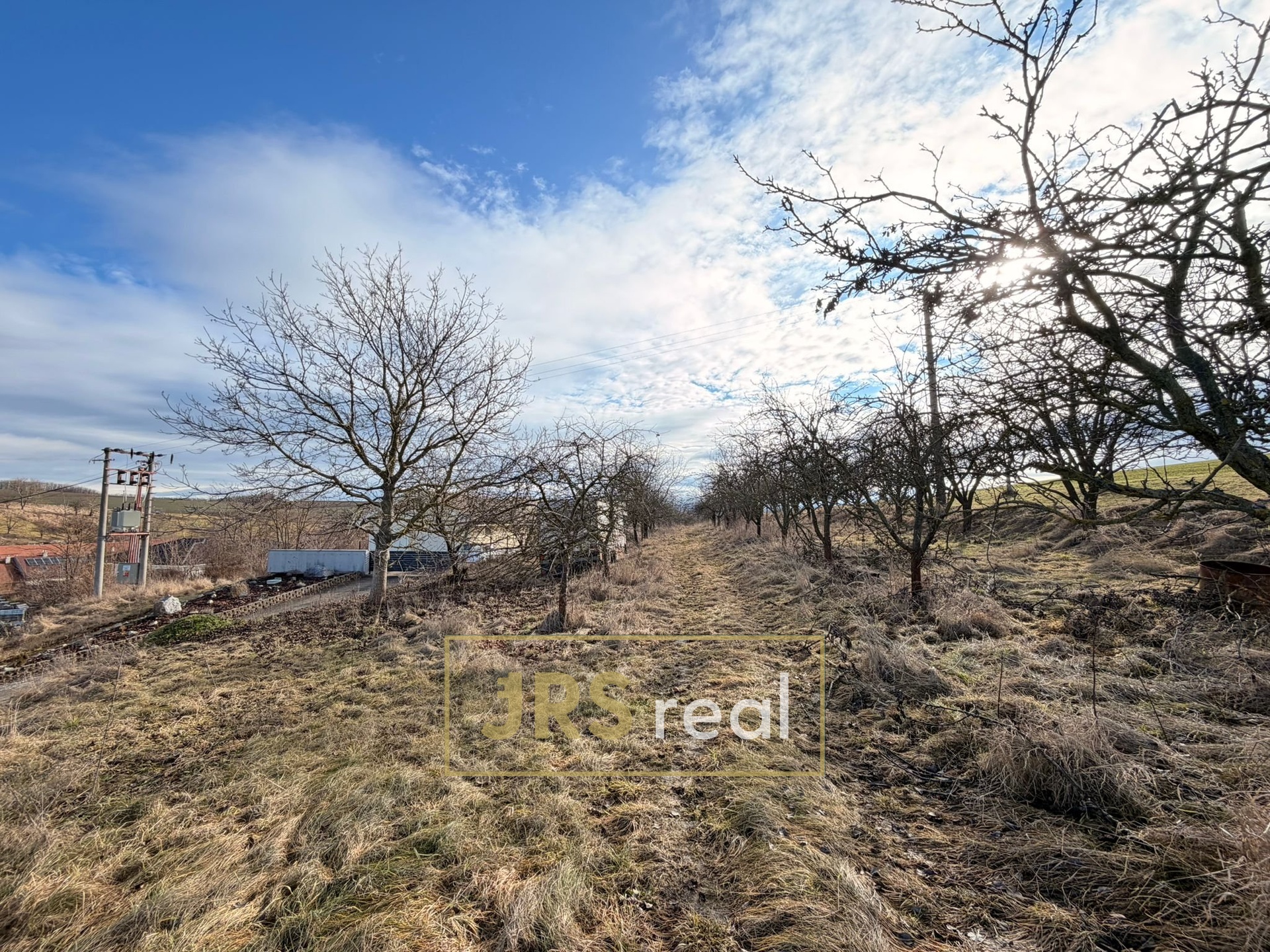 WhatsApp Image 2026-02-16 at 12.22.09 (1)