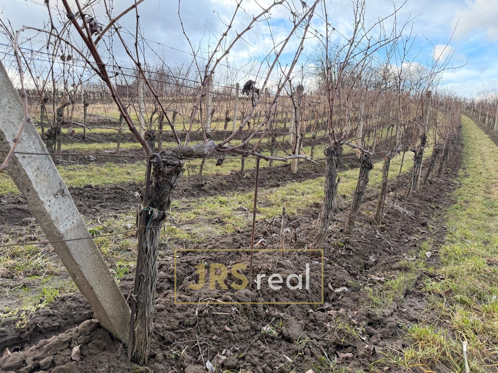 WhatsApp Image 2026-02-16 at 12.09.58 (4)