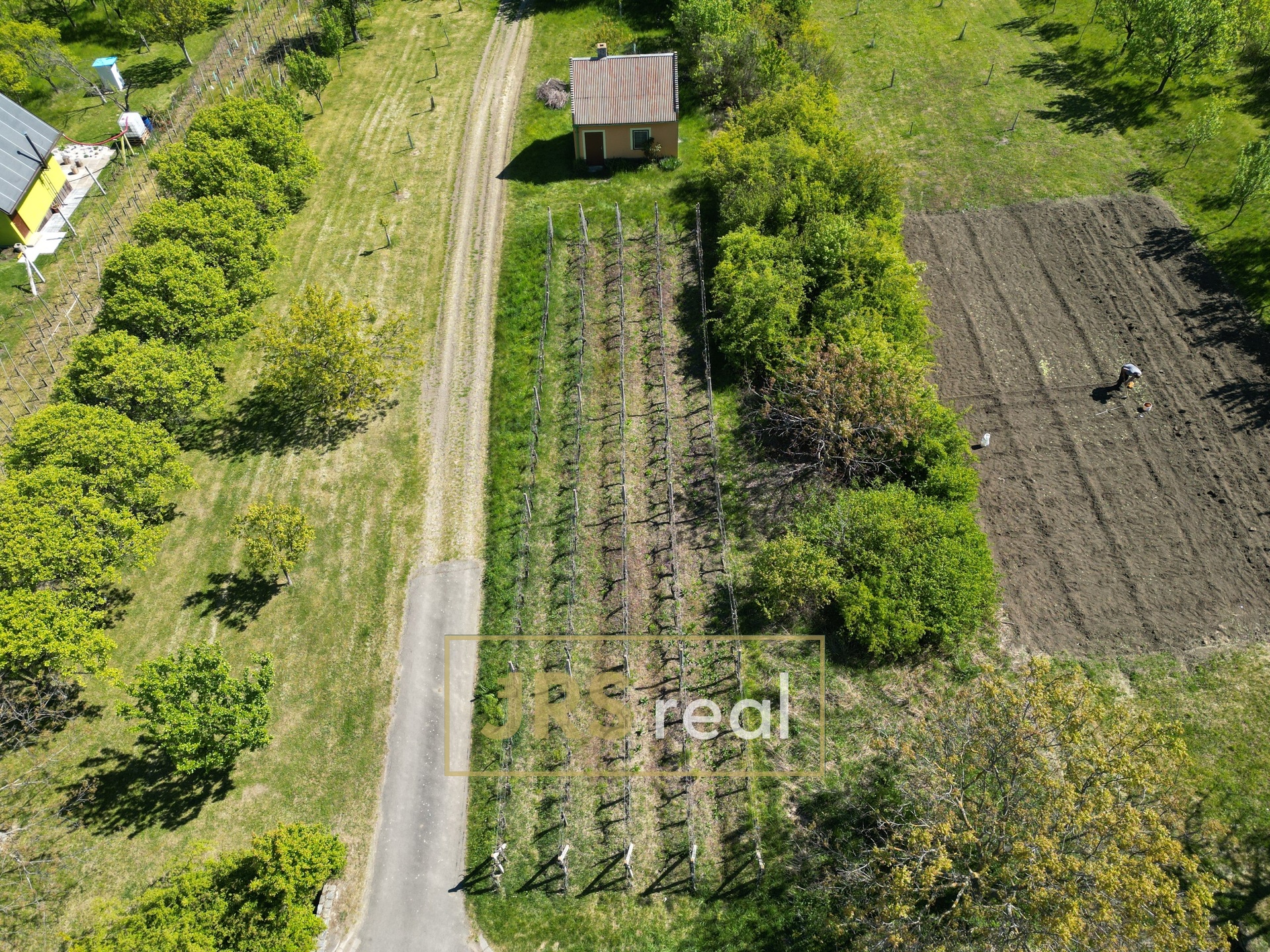 DJI_0968
