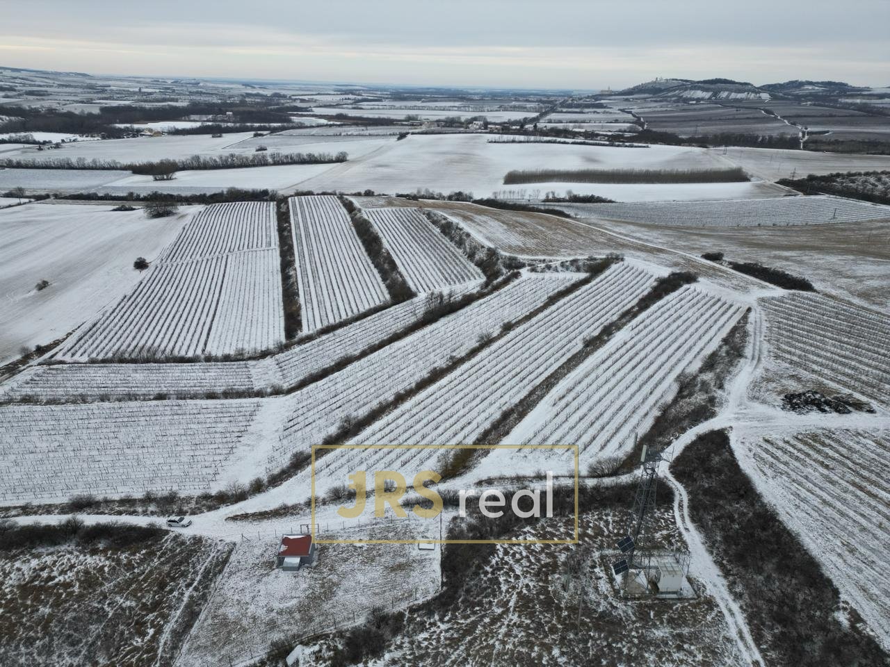 WhatsApp Image 2026-01-12 at 08.58.40 (1)