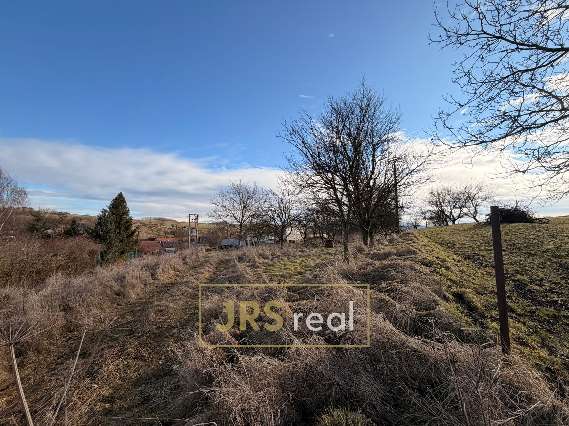 WhatsApp Image 2026-02-16 at 12.22.07 (1)