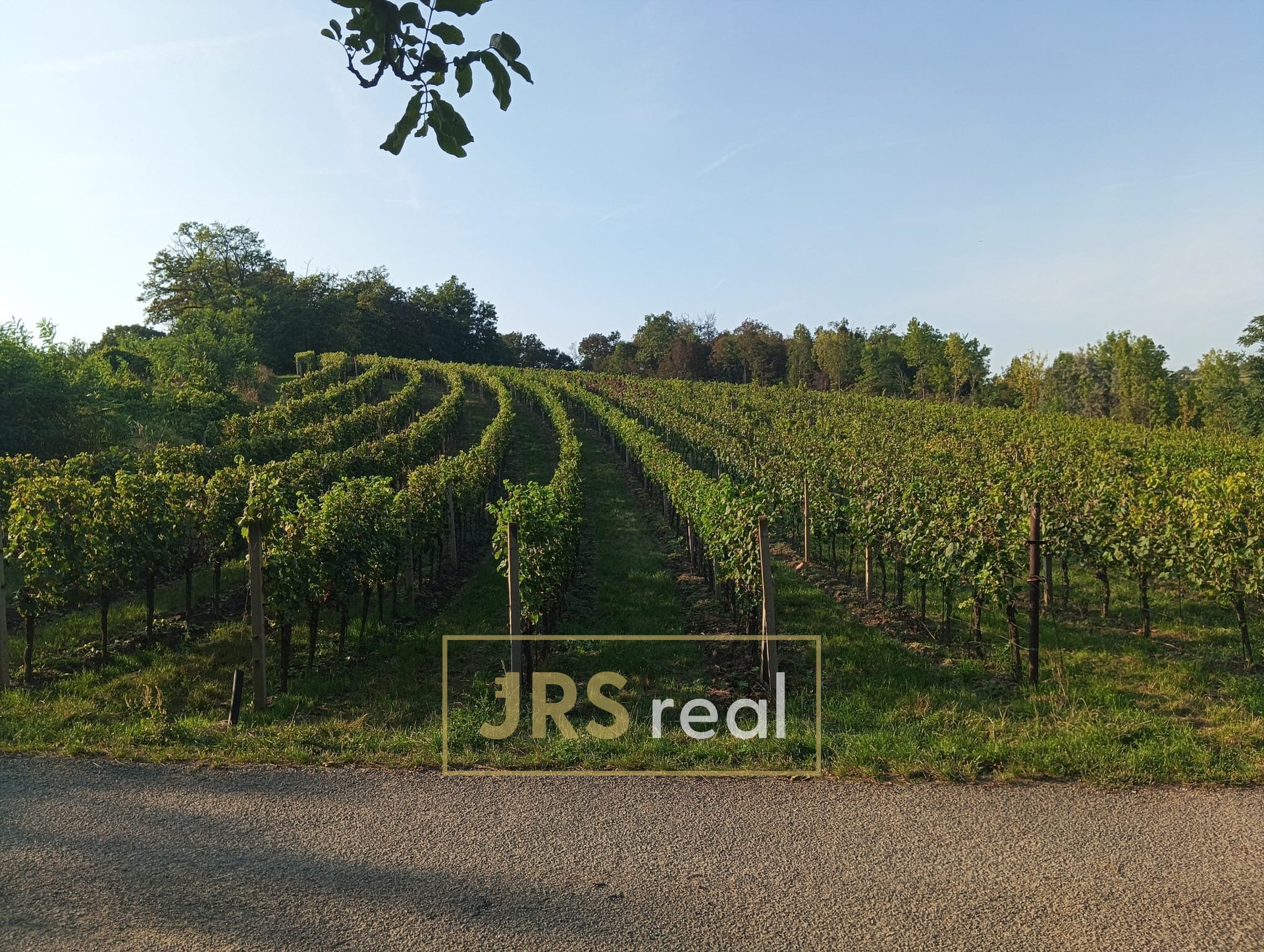 WhatsApp Image 2026-02-16 at 12.39.29