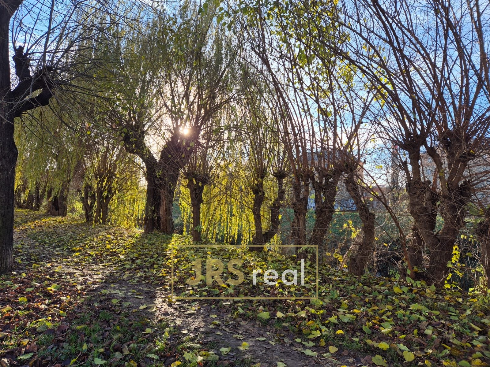 WhatsApp Image 2025-11-18 at 14.46.14