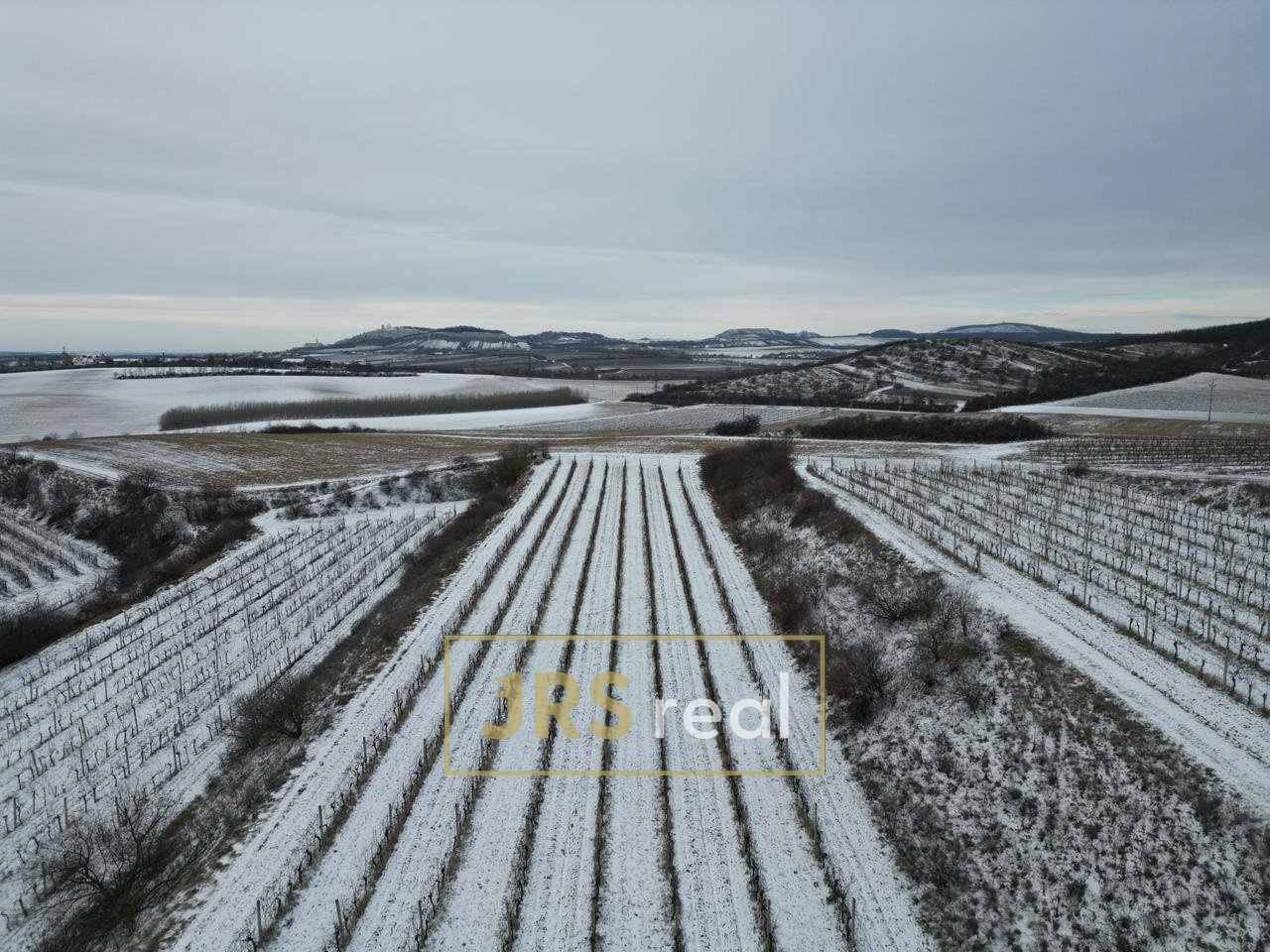 WhatsApp Image 2026-01-12 at 08.58.41