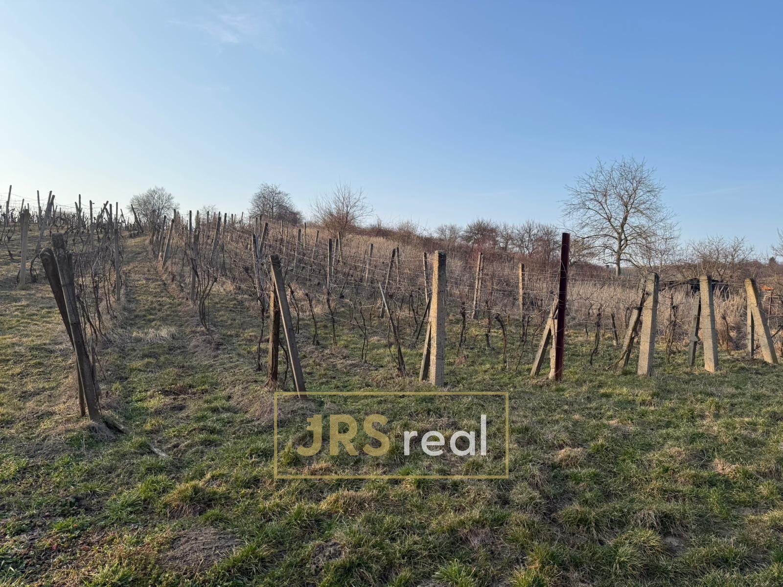 WhatsApp Image 2026-03-05 at 11.41.35