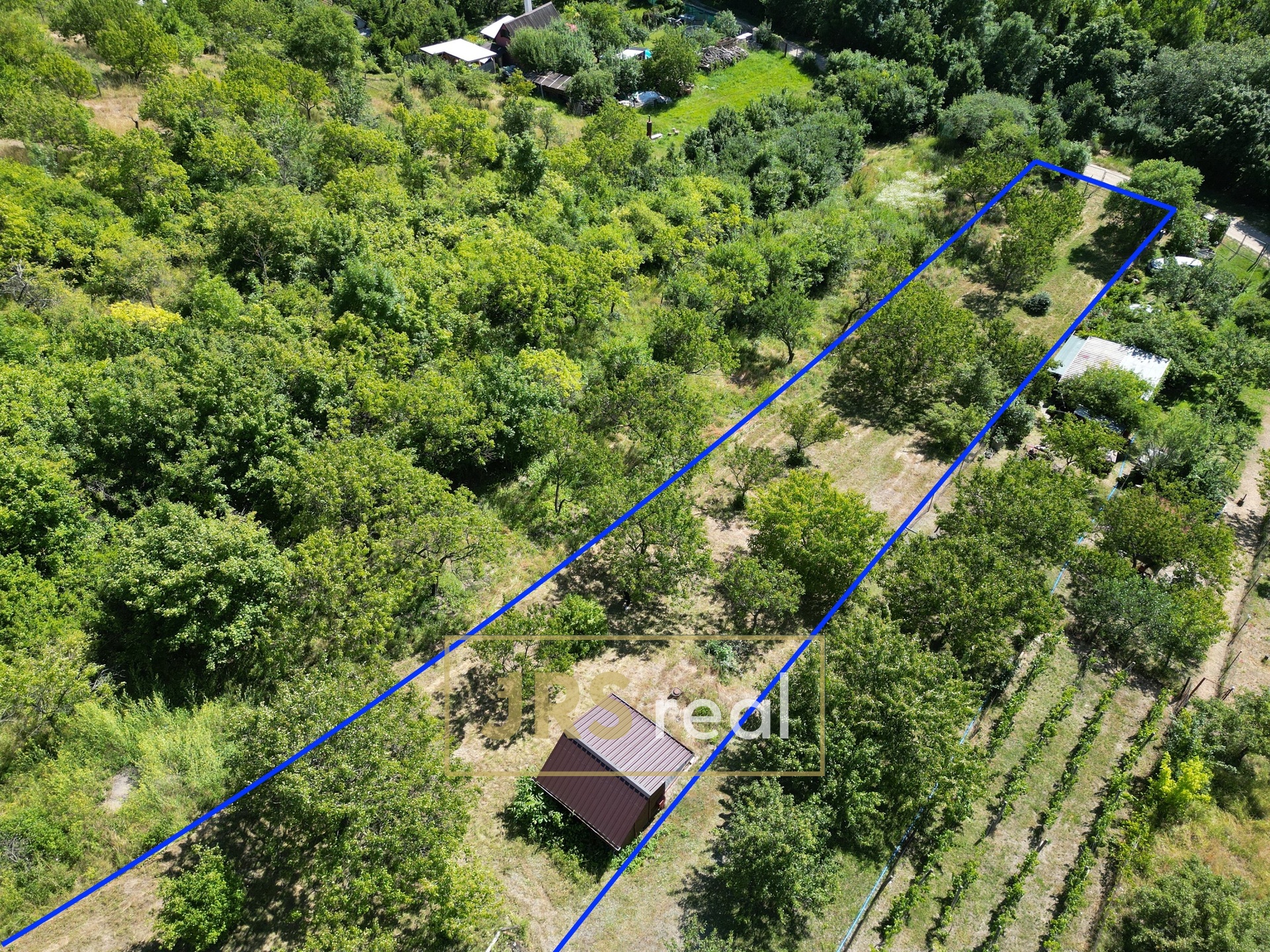 DJI_0680