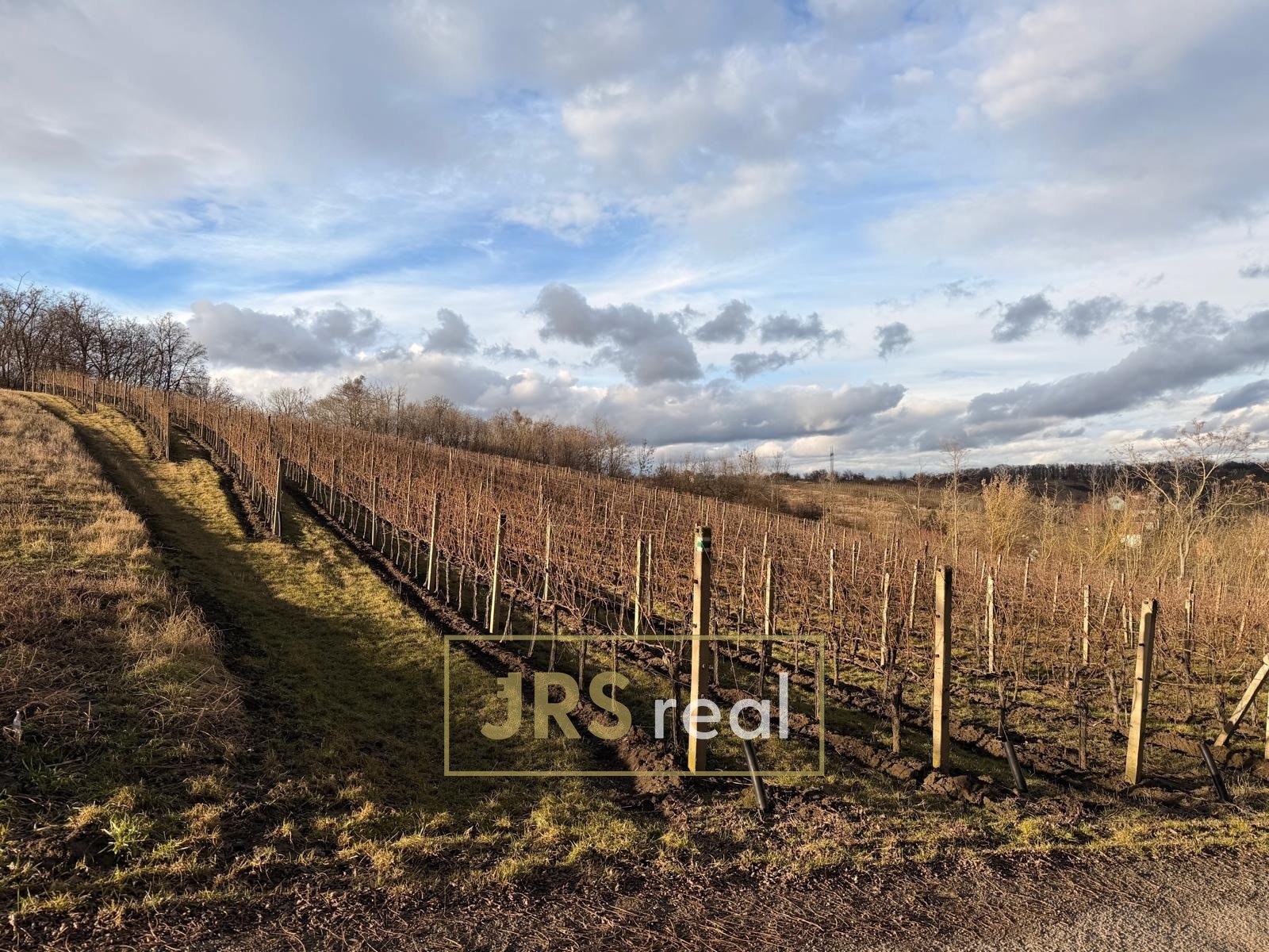 WhatsApp Image 2026-02-16 at 12.09.58 (2)