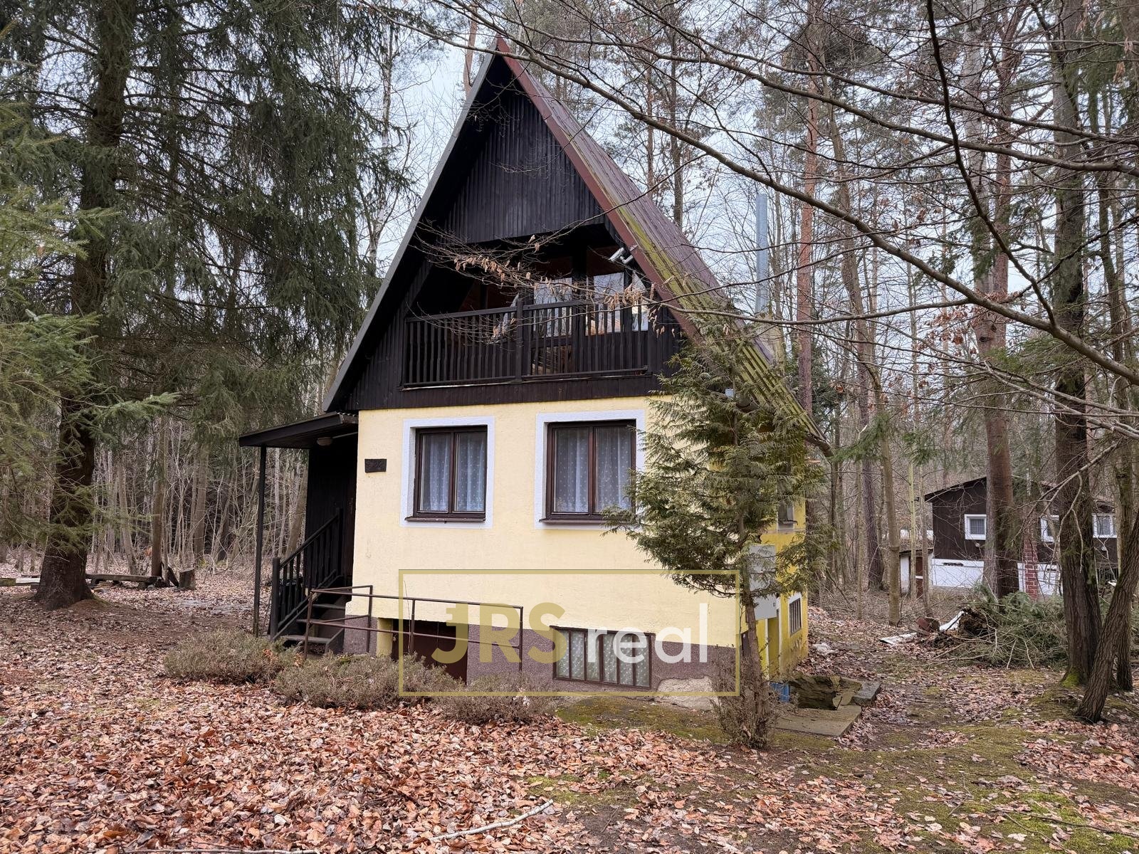 WhatsApp Image 2026-02-19 at 12.28.35 (1)