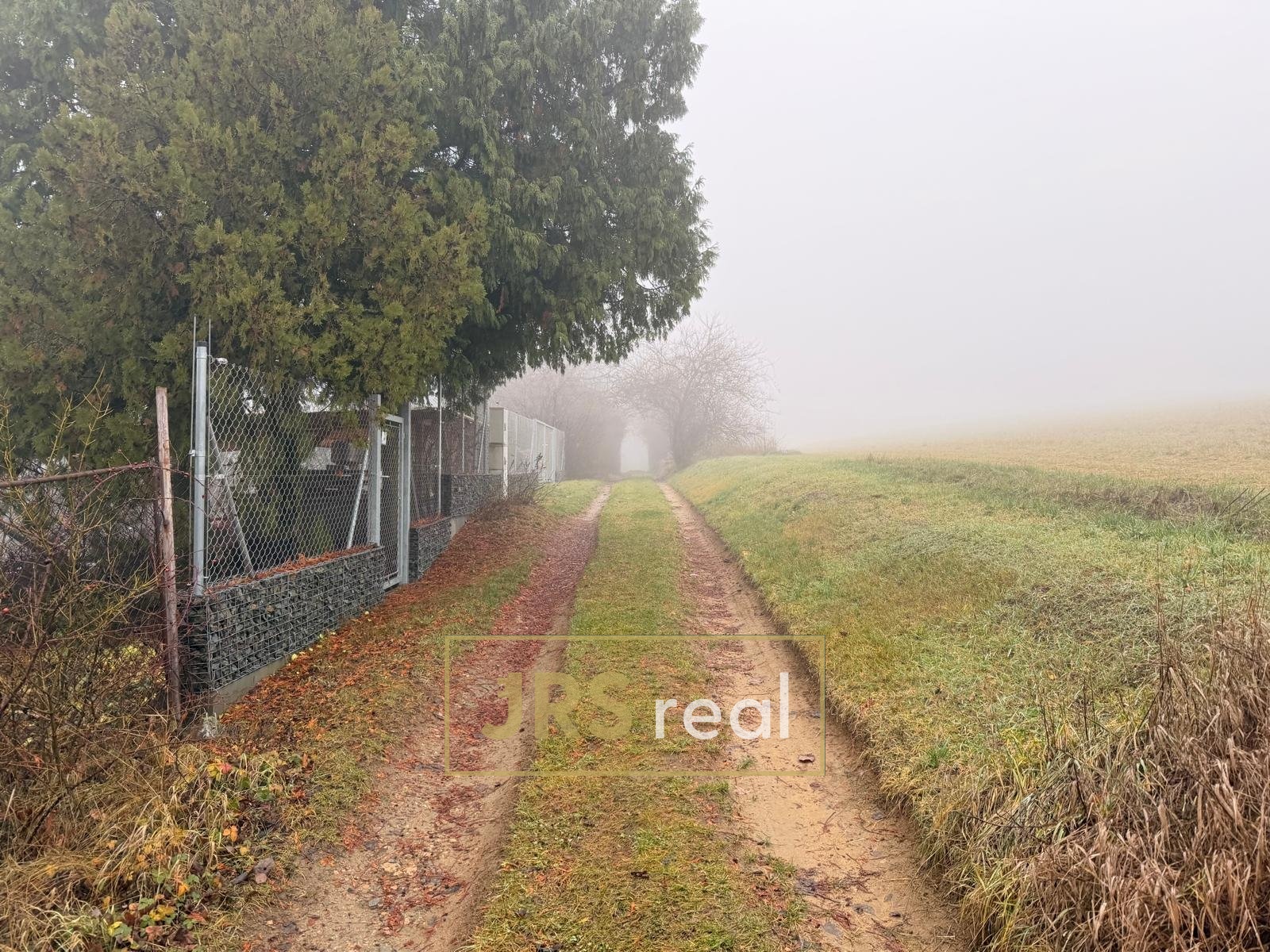 WhatsApp Image 2025-12-12 at 14.52.56 (6)