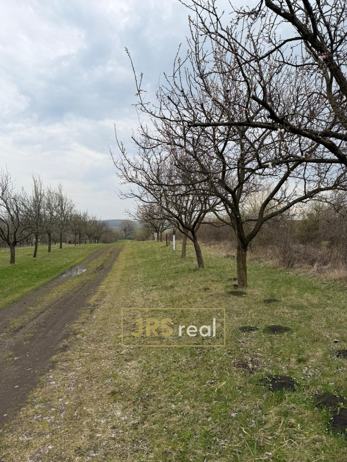 WhatsApp Image 2026-04-02 at 13.02.44