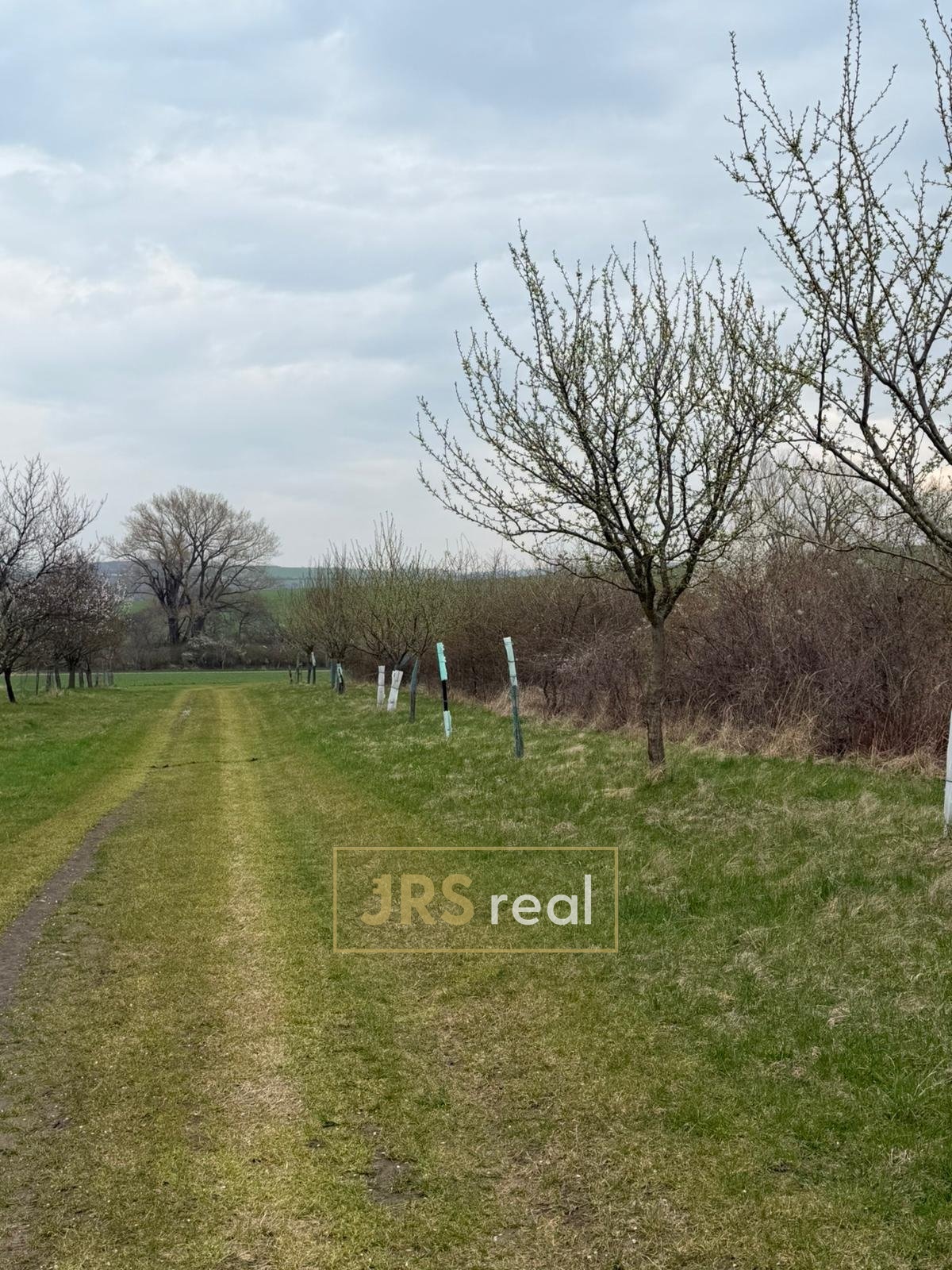 WhatsApp Image 2026-04-02 at 13.02.44 (3)