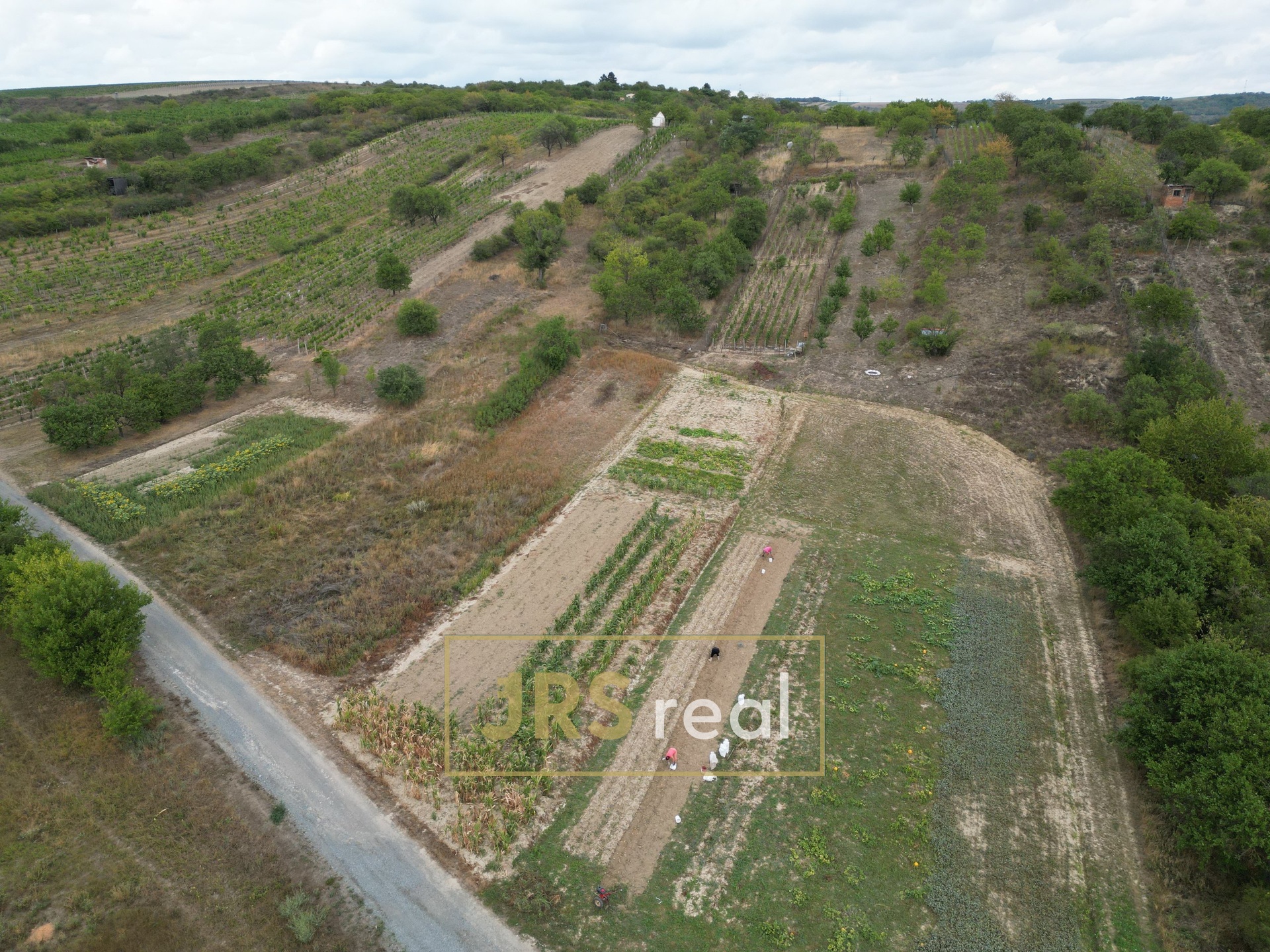 DJI_0426