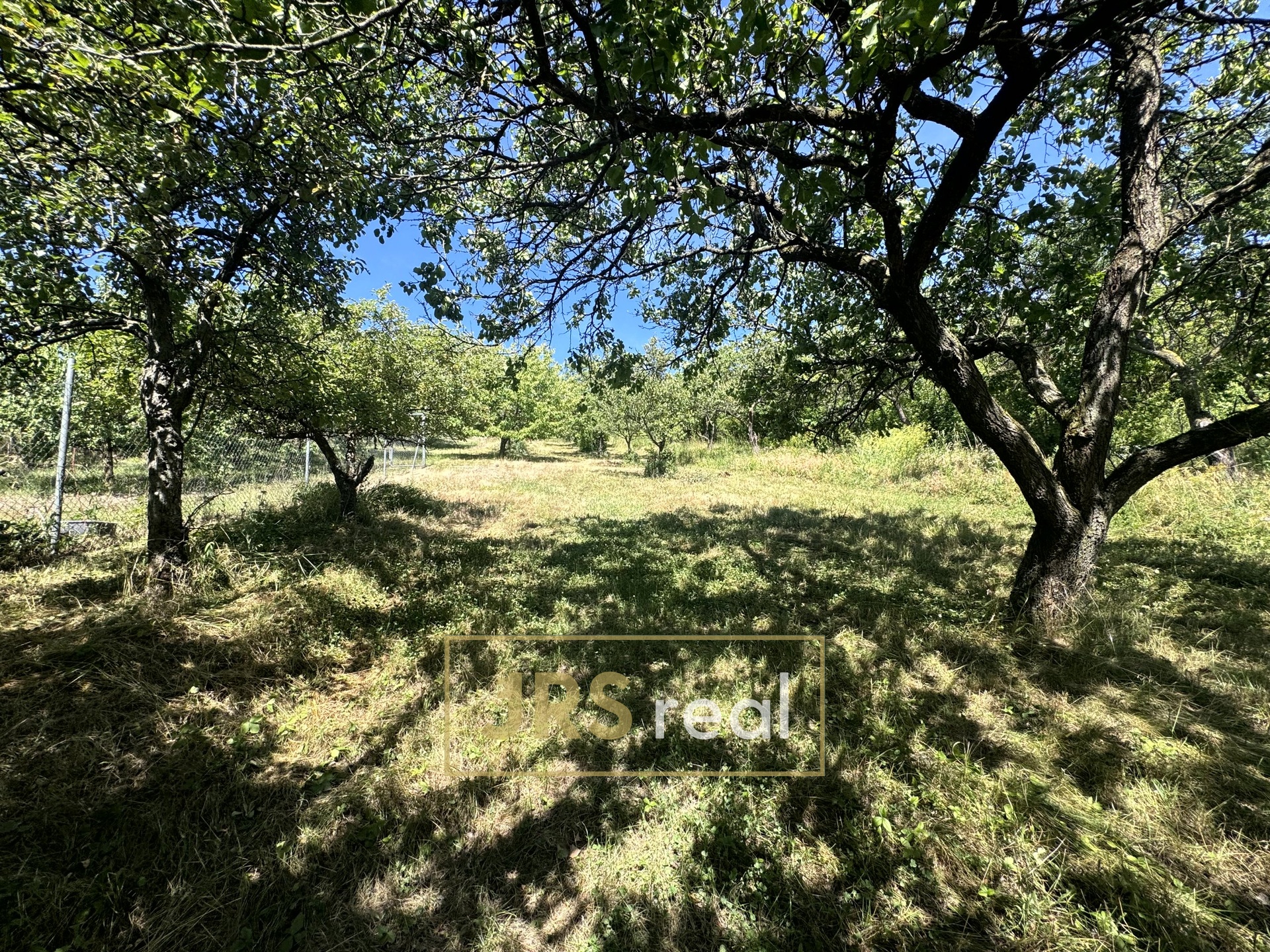 IMG_8364