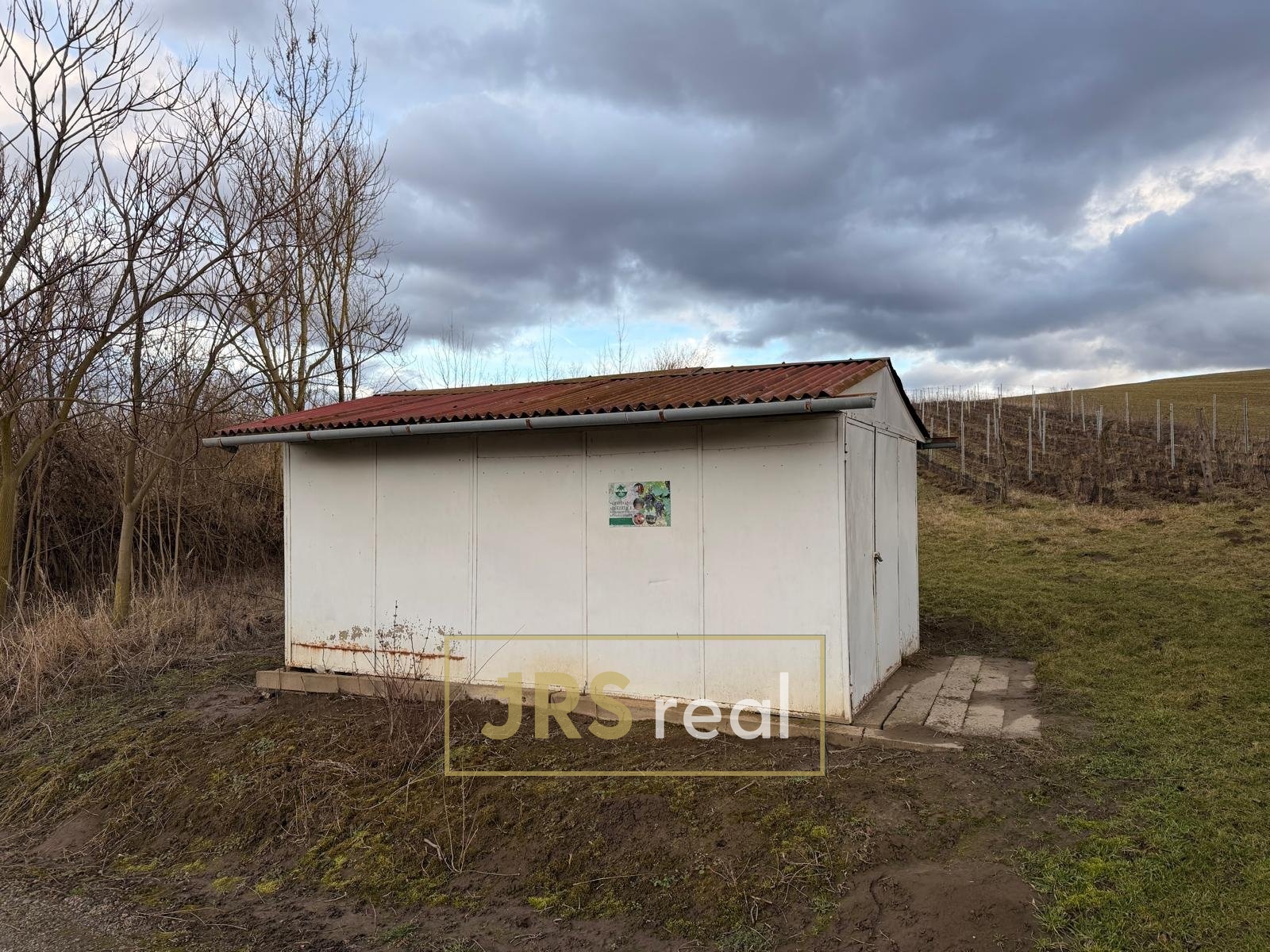 WhatsApp Image 2026-02-16 at 12.09.57 (3)