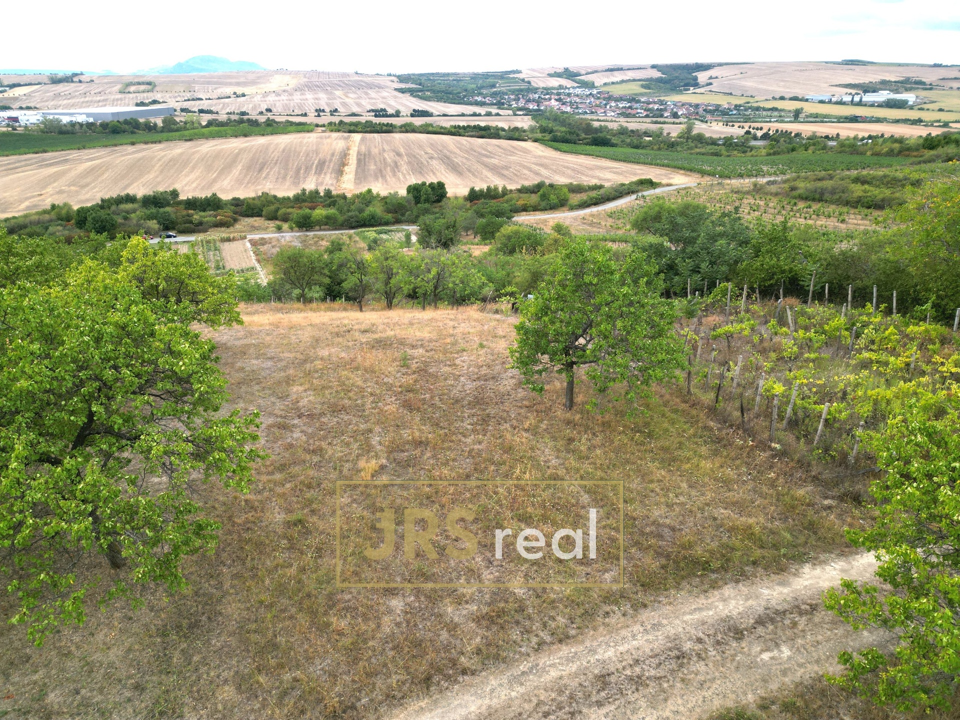 DJI_0420