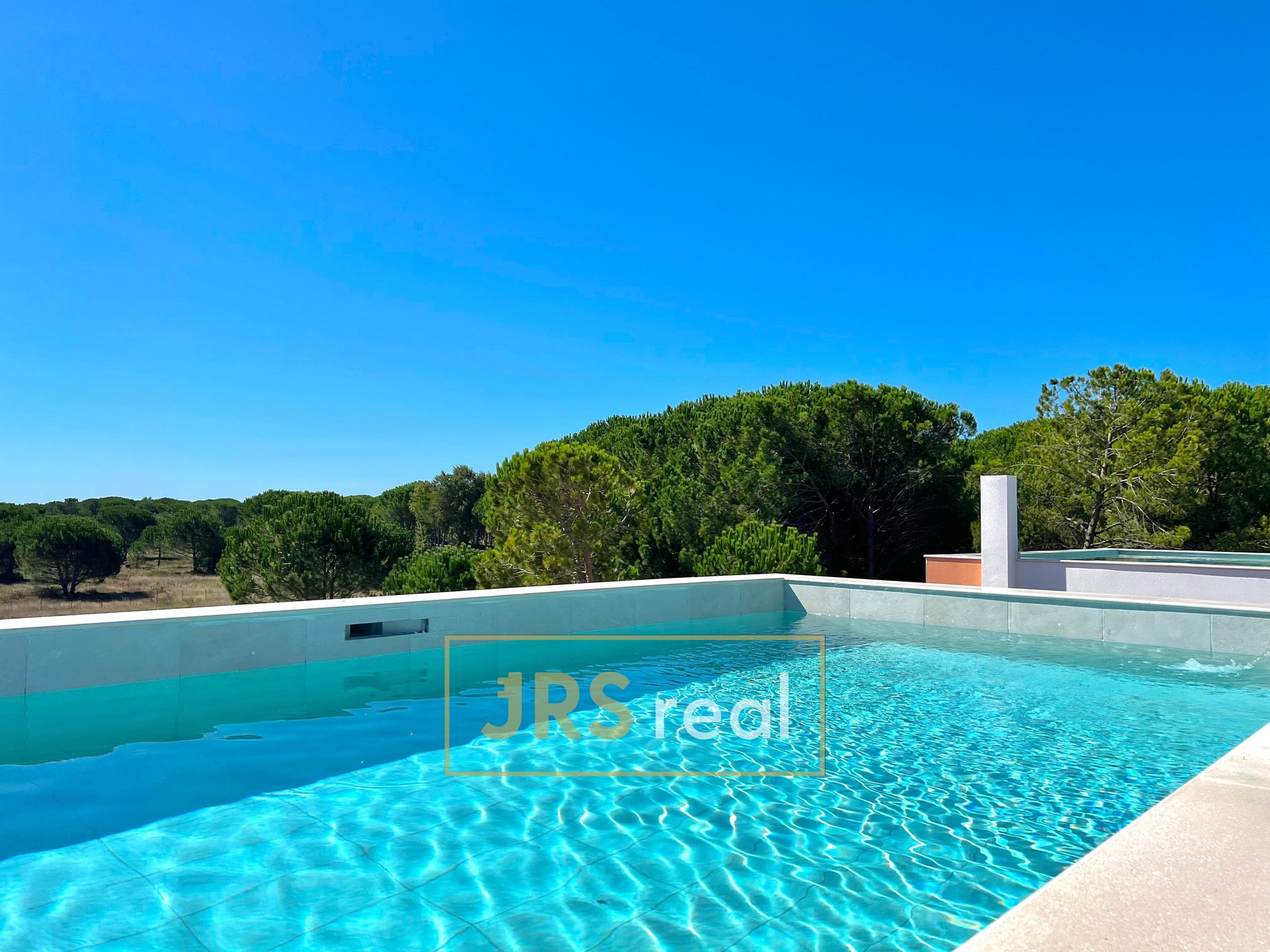 WhatsApp Image 2026-01-21 at 12.59.02 (1)