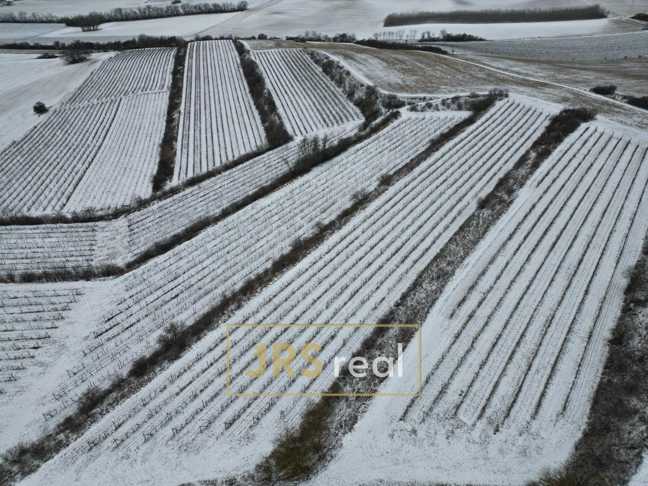 WhatsApp Image 2026-01-12 at 08.58.39