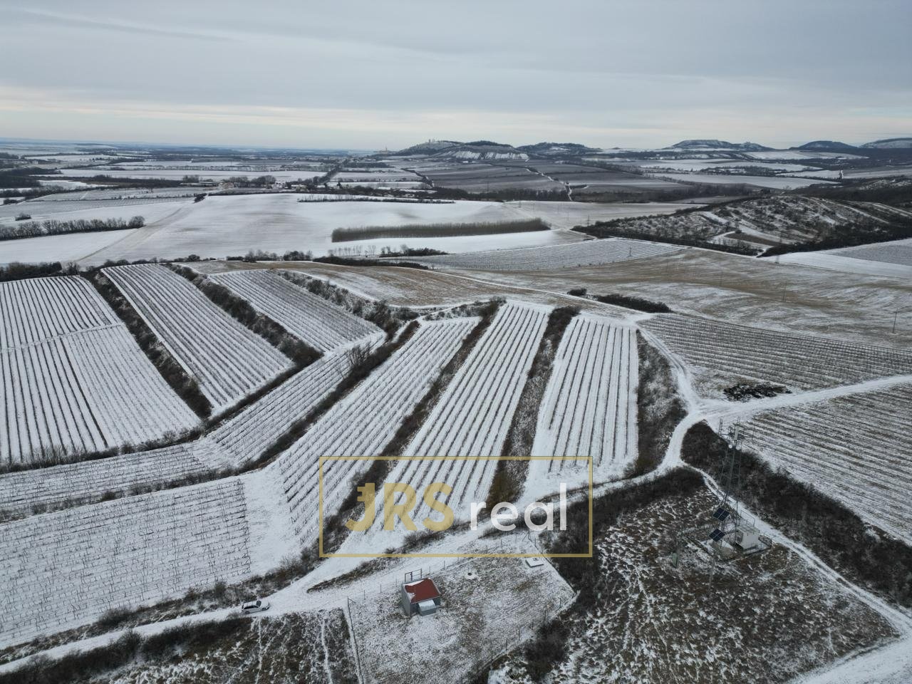 WhatsApp Image 2026-01-12 at 08.58.40