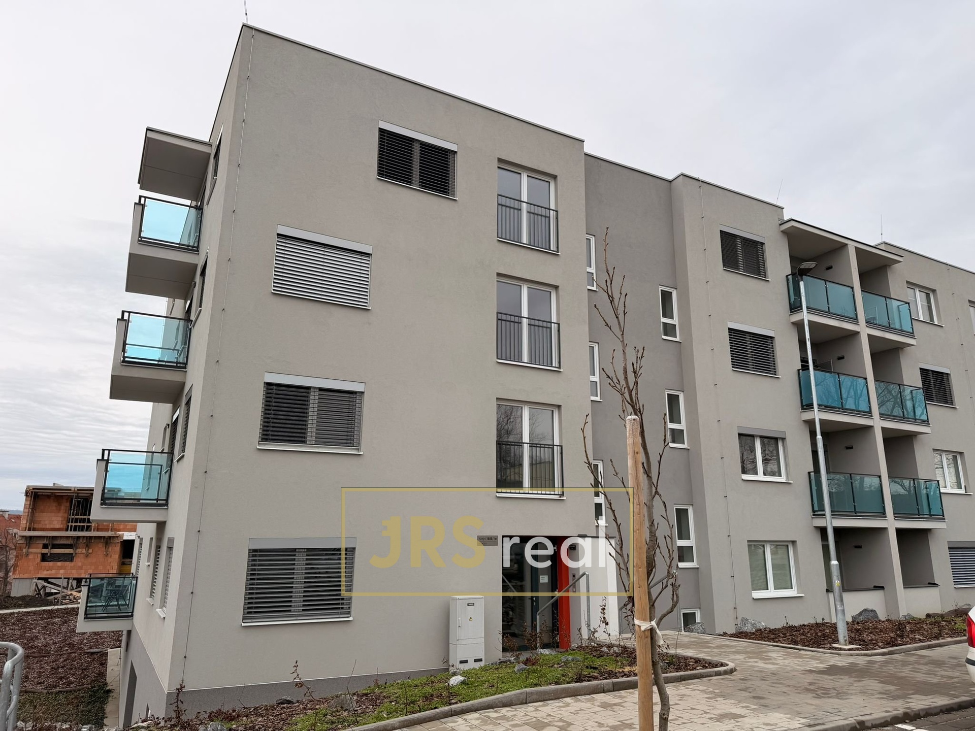 WhatsApp Image 2026-02-16 at 14.07.16 (1)