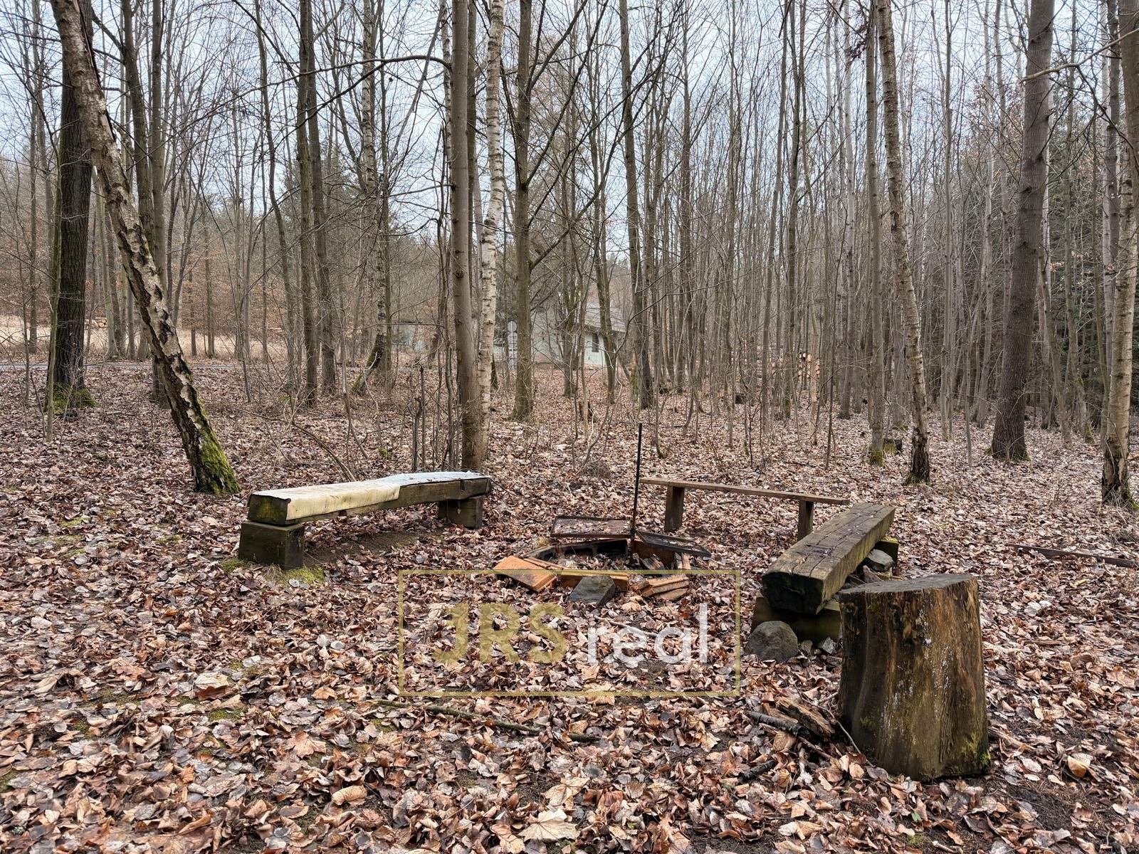 WhatsApp Image 2026-02-19 at 12.28.36 (1)