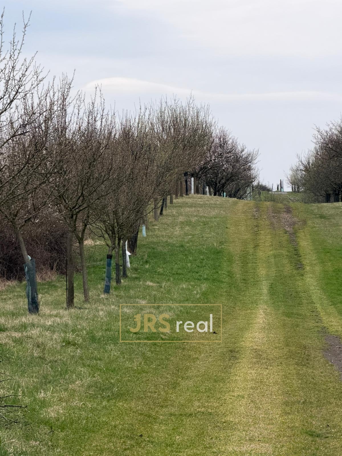 WhatsApp Image 2026-04-02 at 13.02.44 (2)