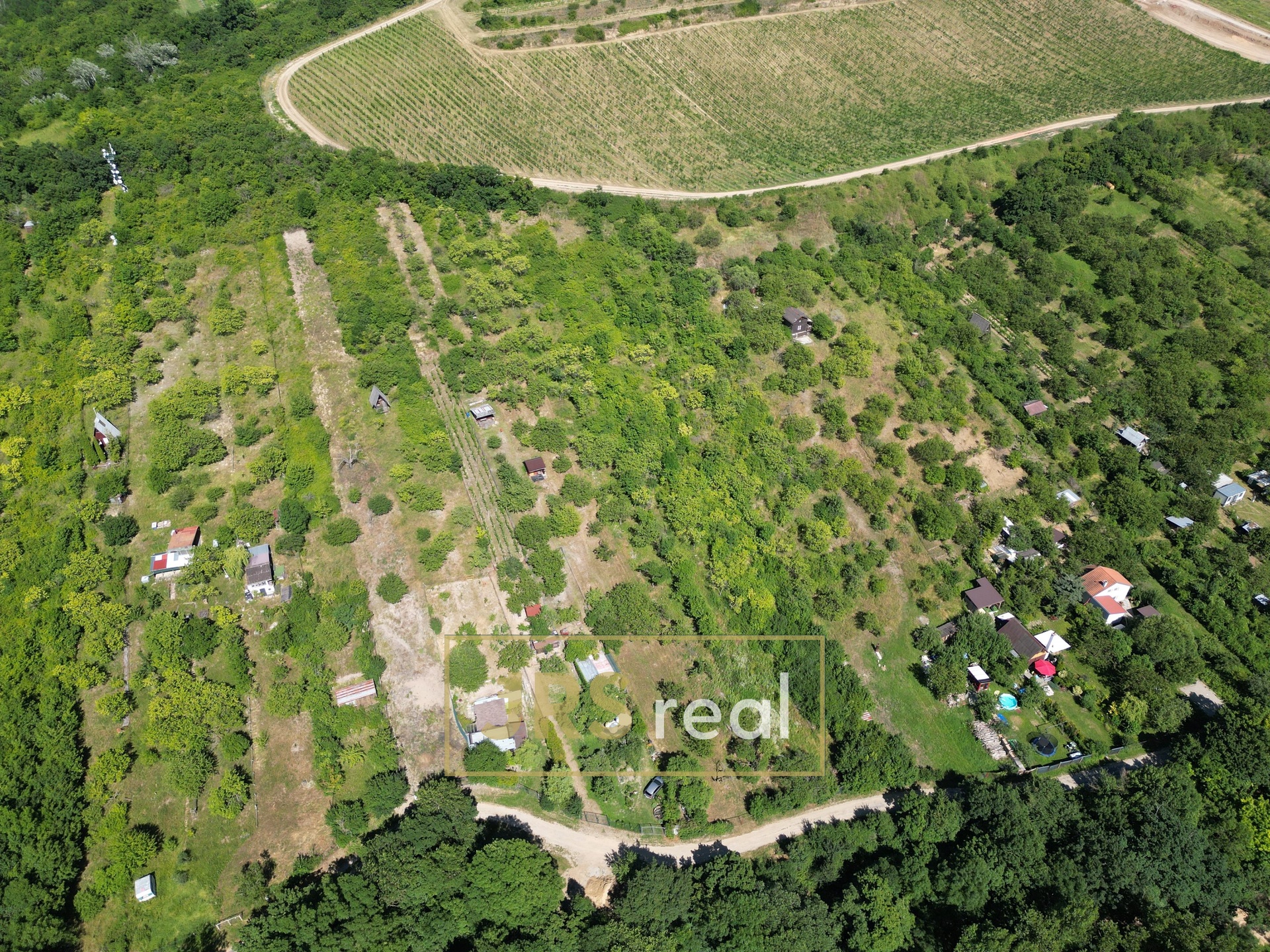 DJI_0686
