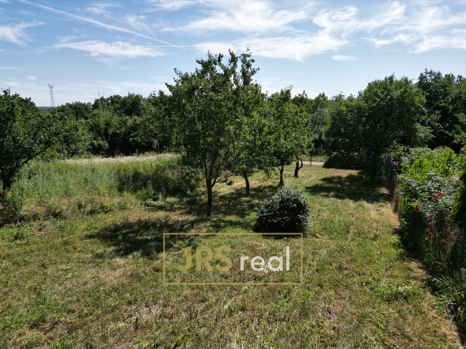 DJI_0694